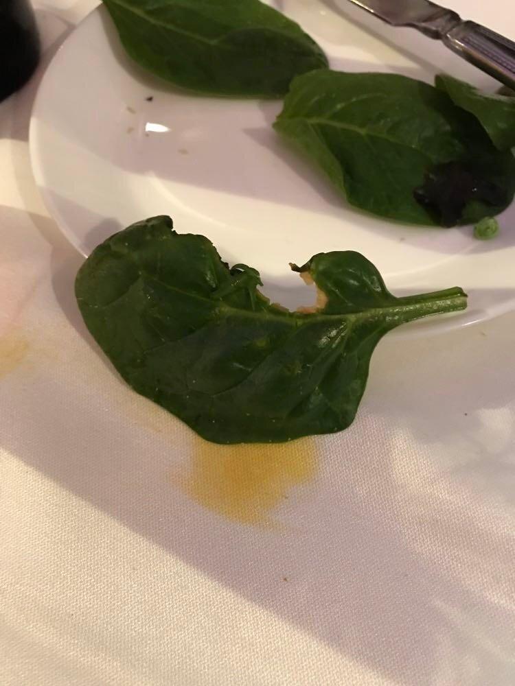 Photo by ianpV9634HC