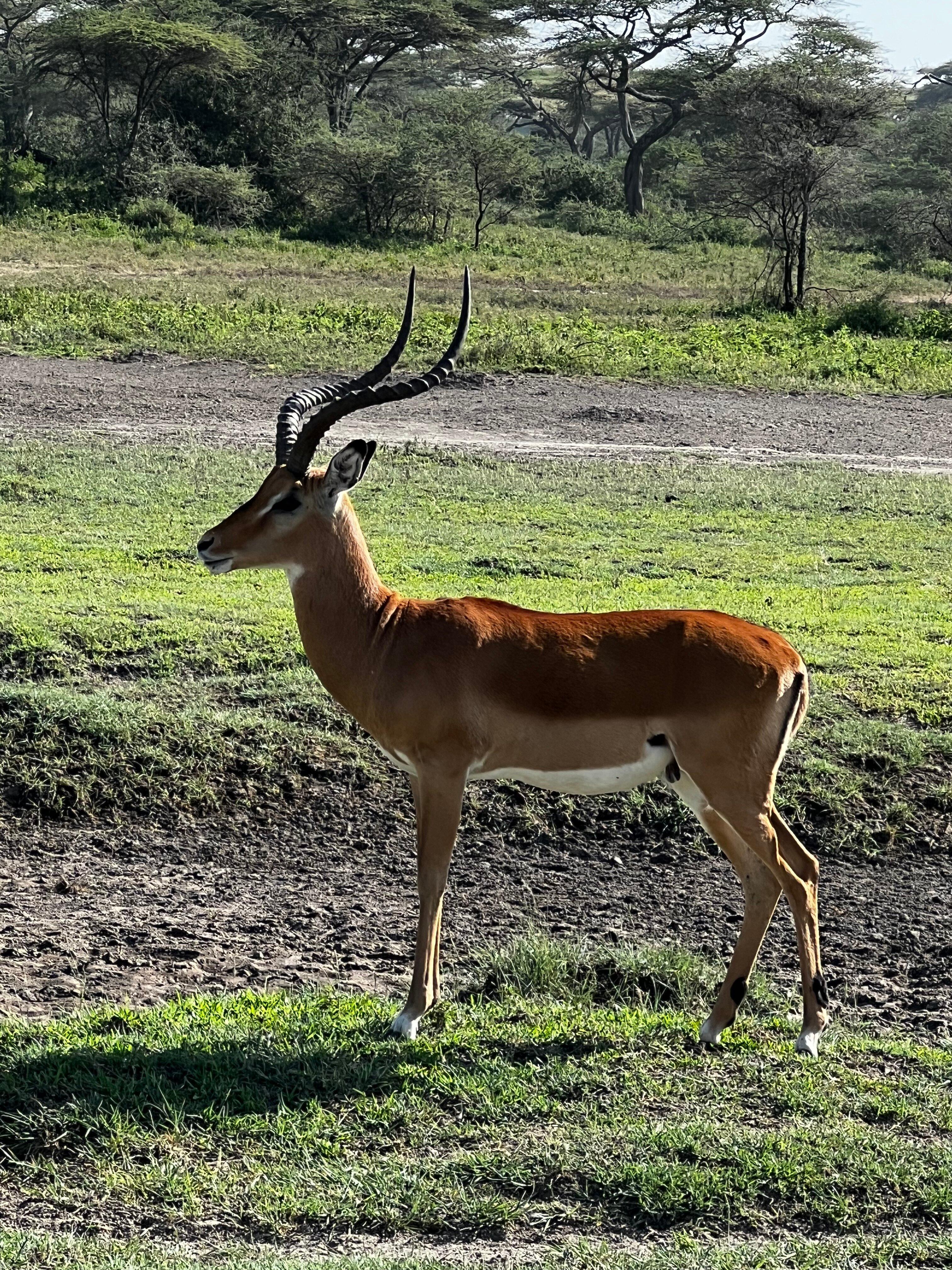 Photo by L7283AIericaj