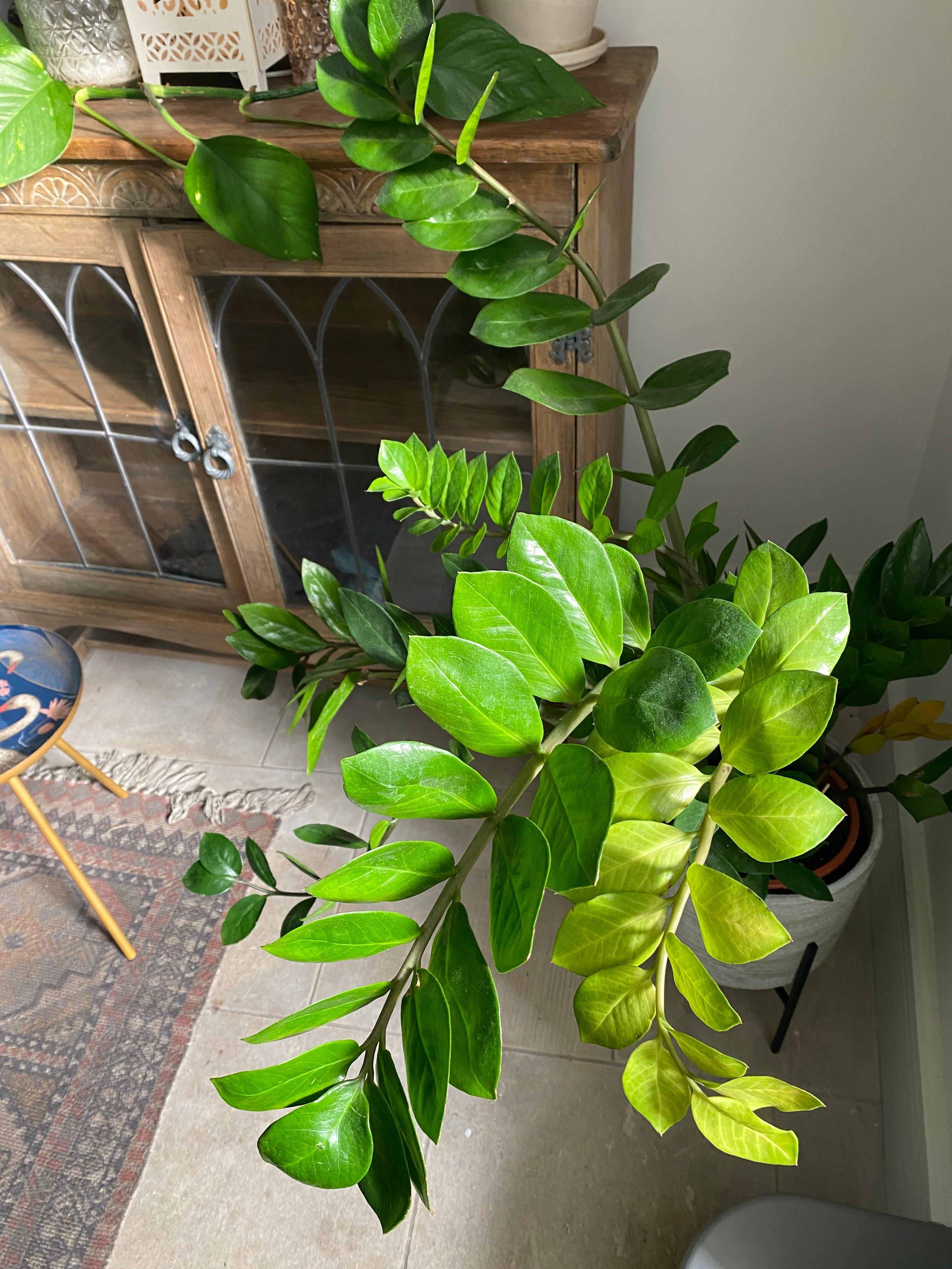 Bath Holistic Massage