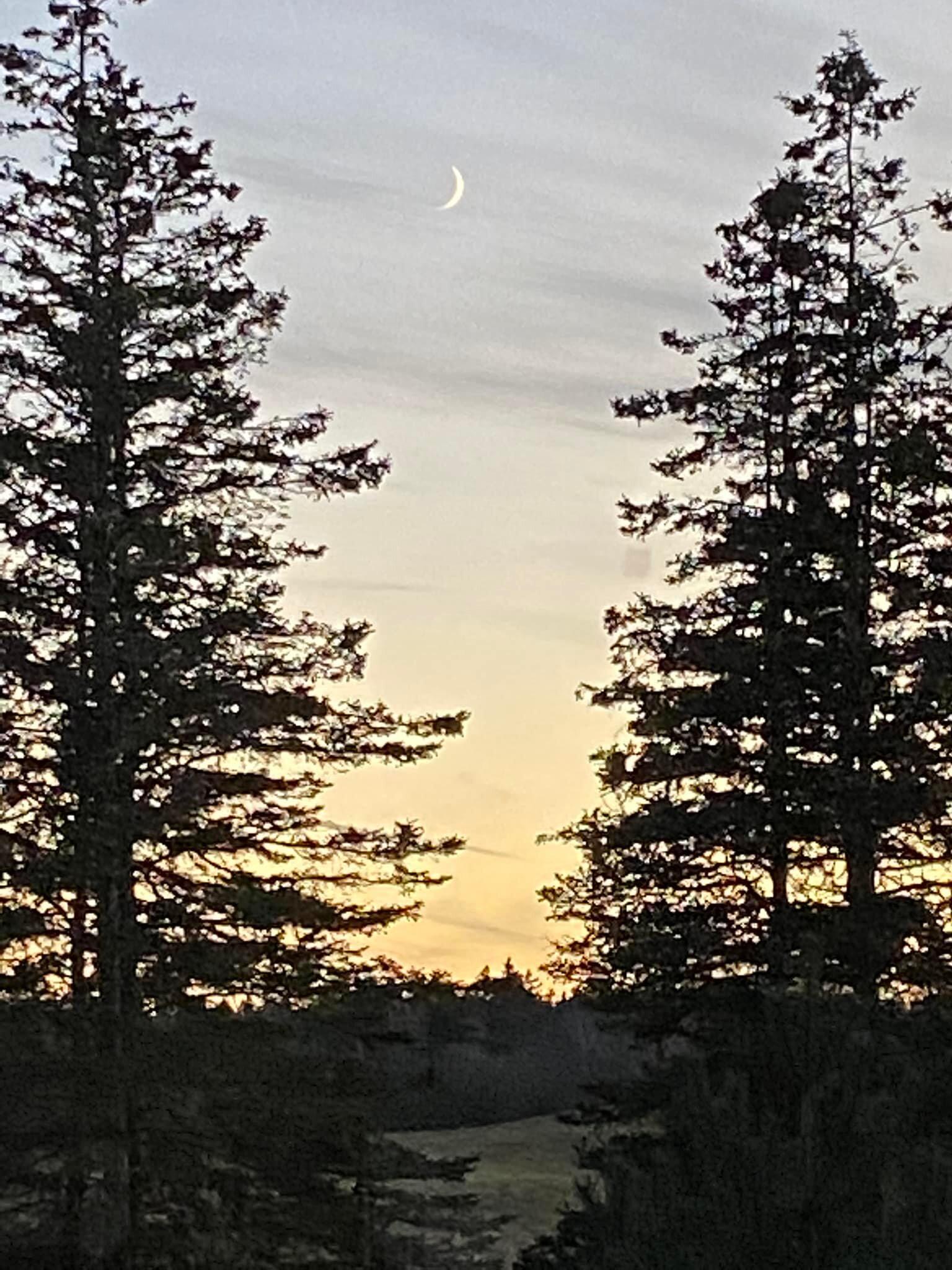 Ann's Point Cottages