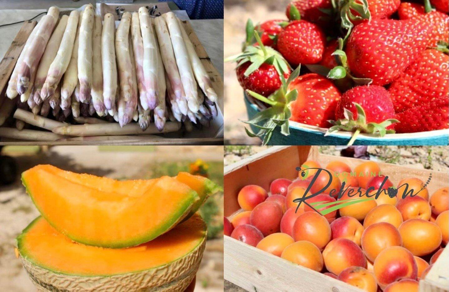 Ferme Reverchon / Domaine De Reverchon