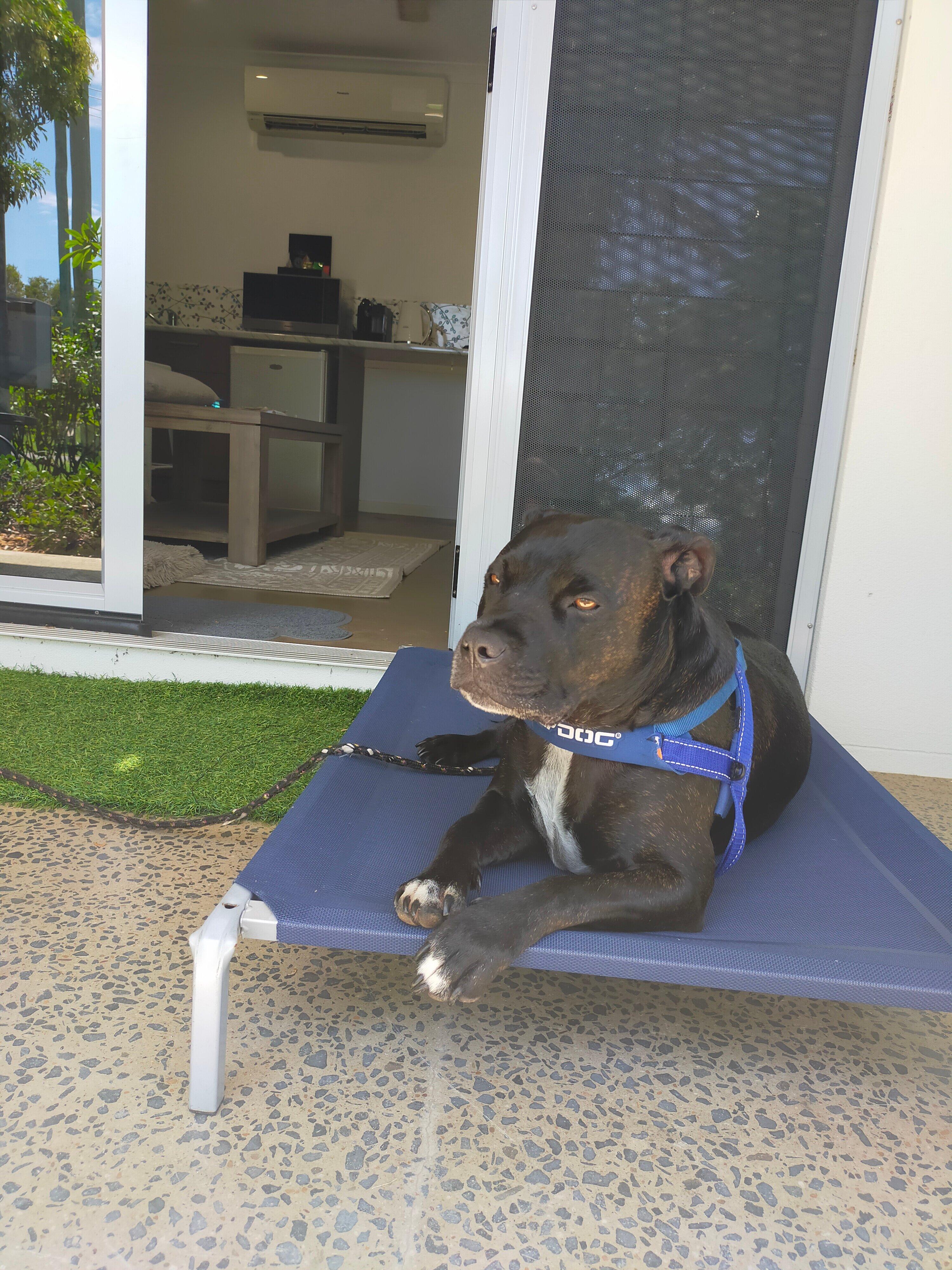 Photo by Guide605303