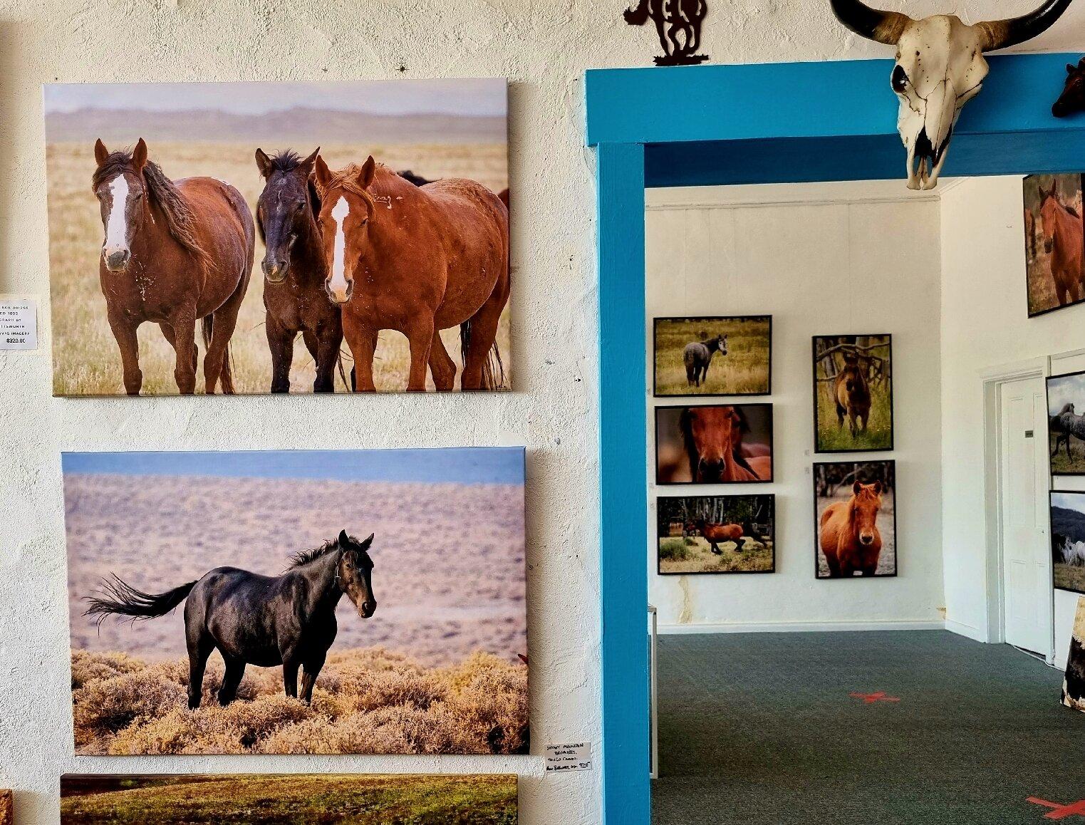 Photo by markbY9028DJ