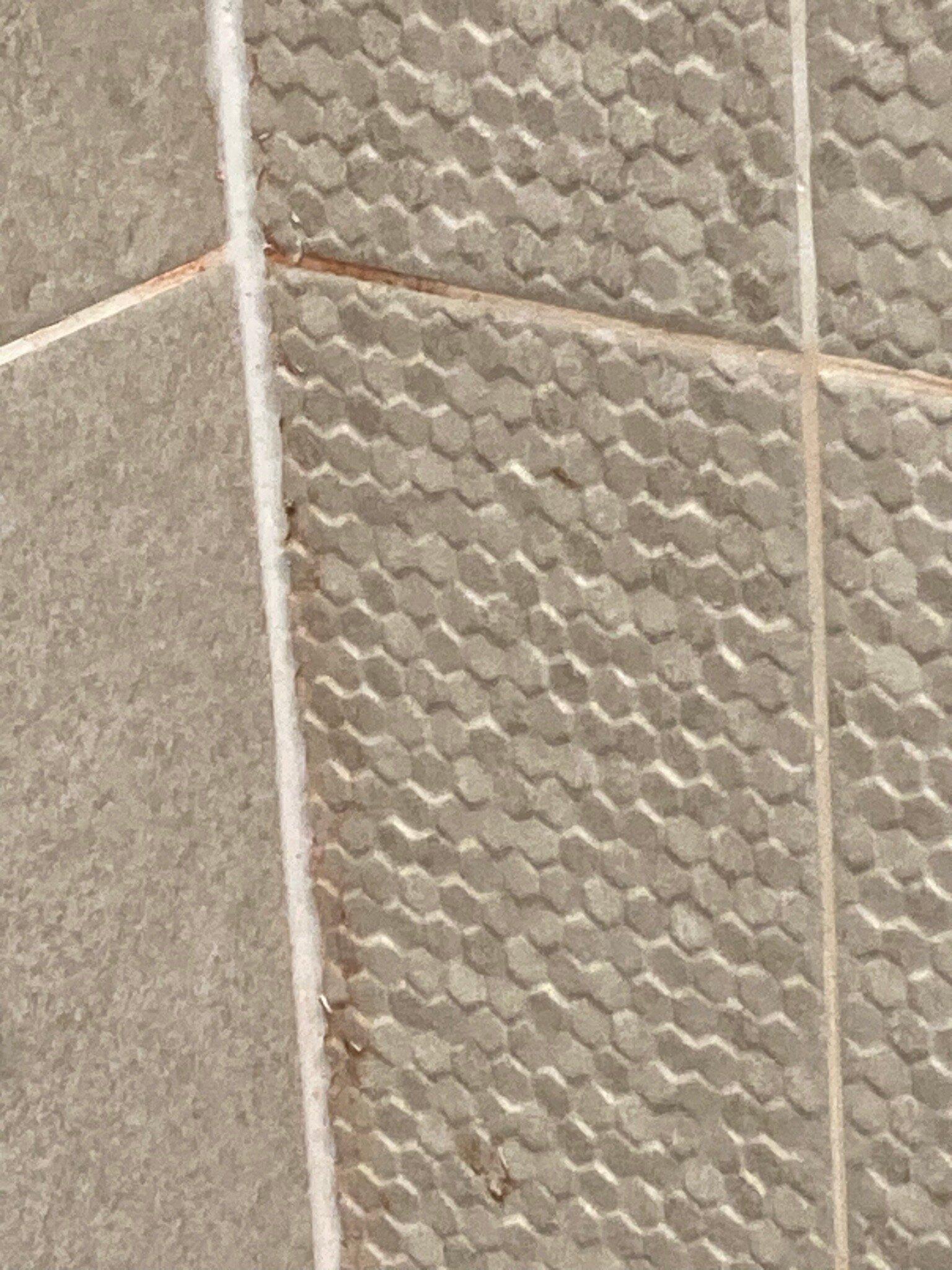 Waverley Inn Holiday Apartments