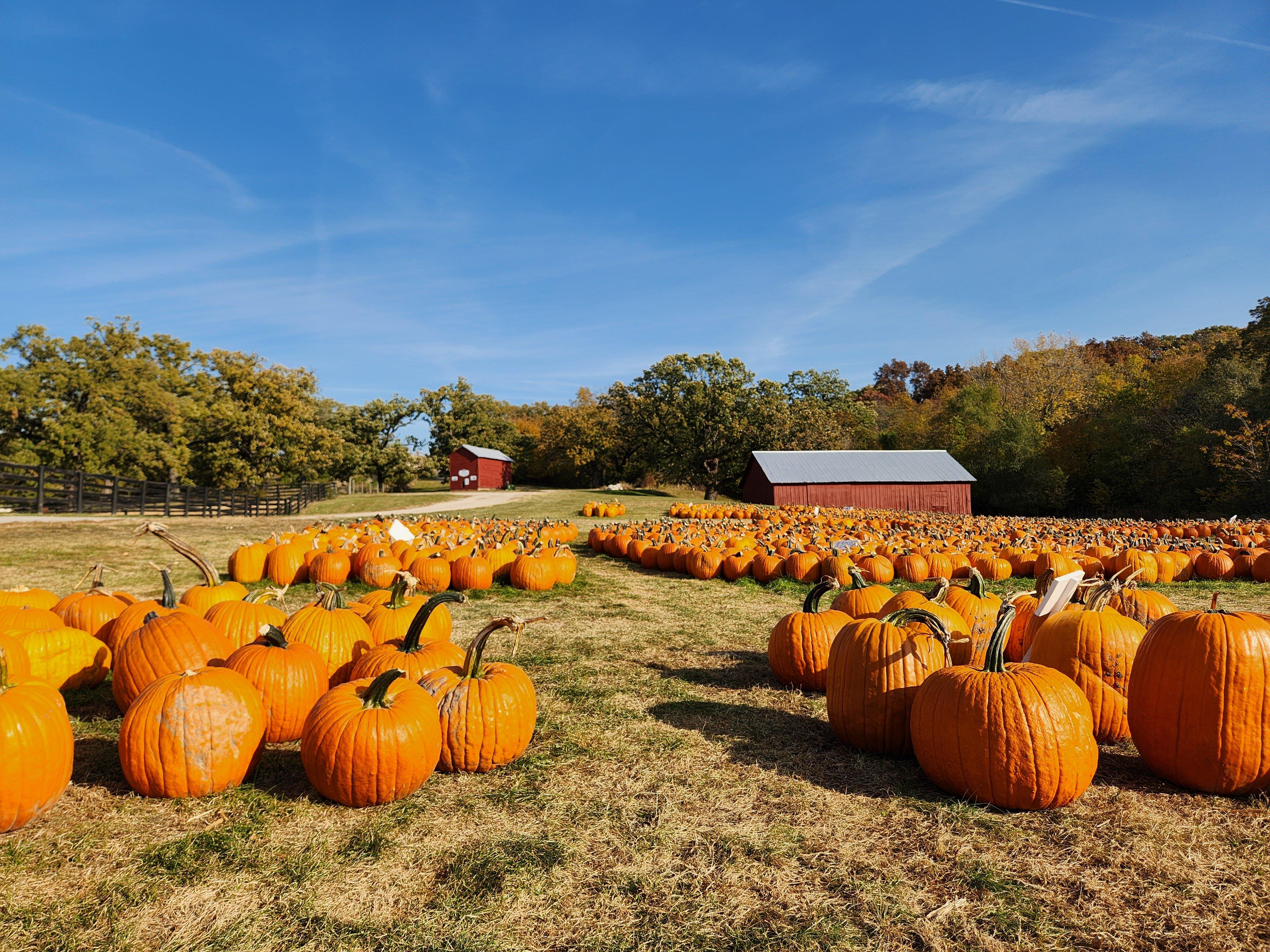 Dollinger Family Farm