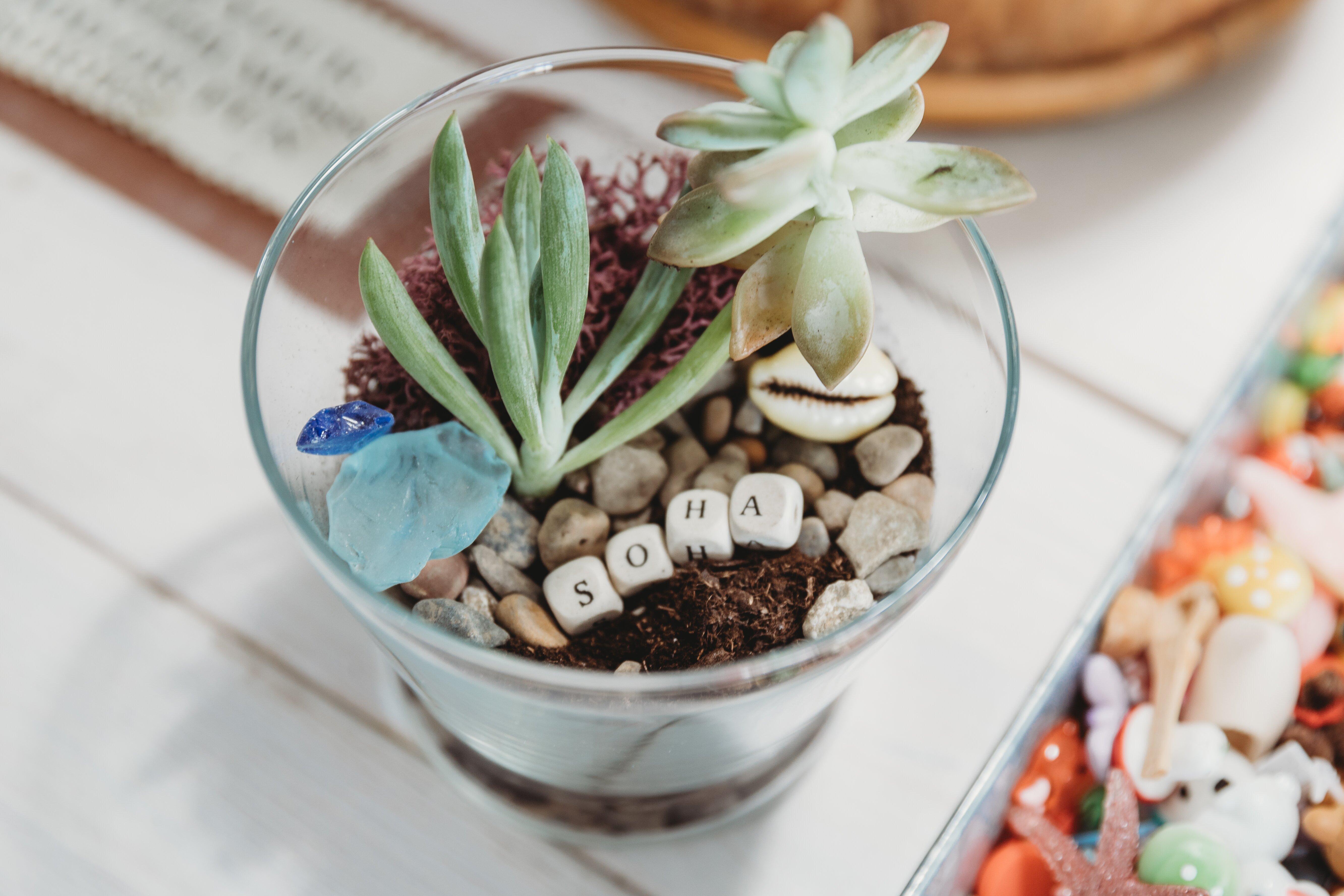 Photo by rachellG4107IK