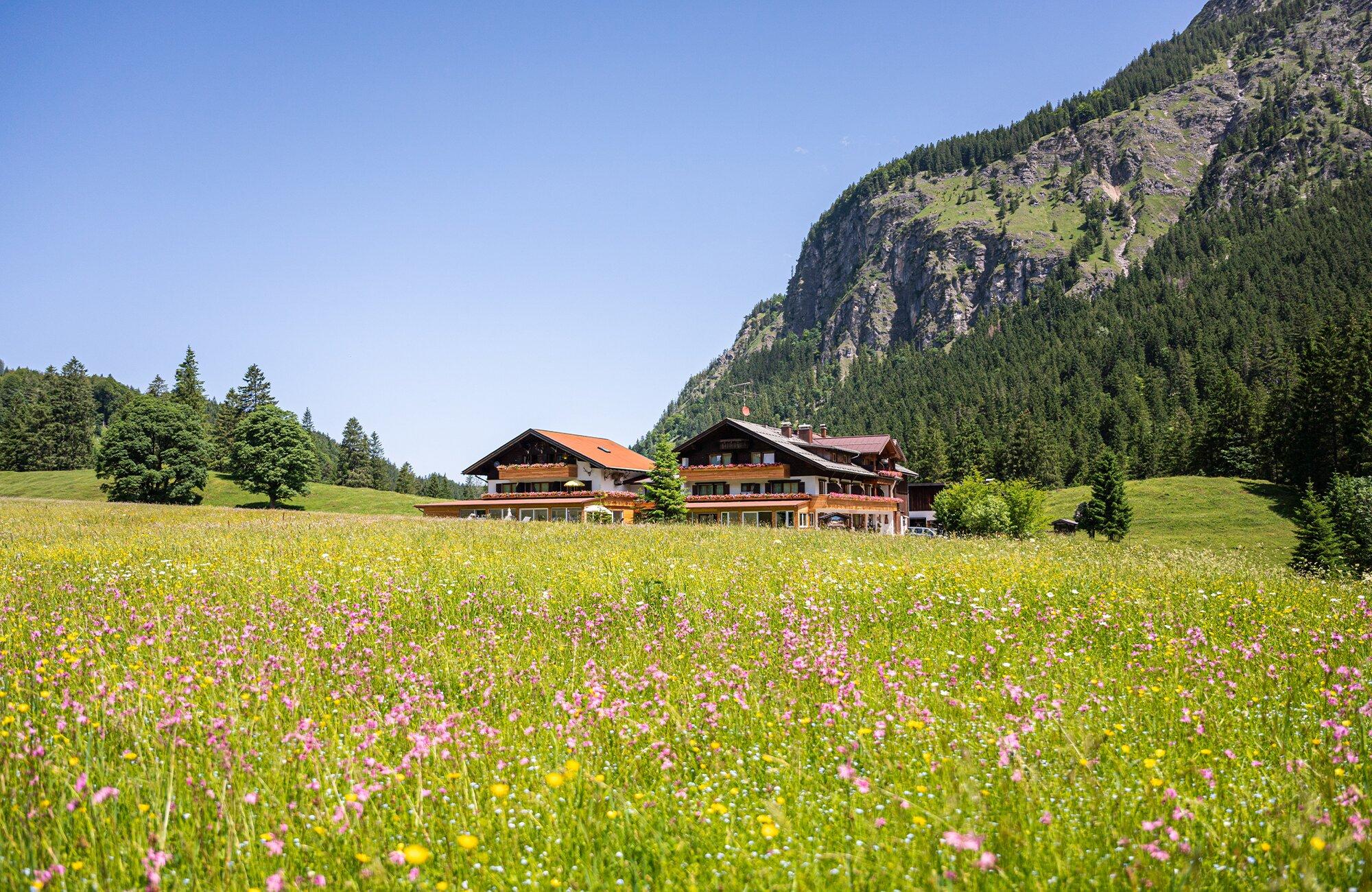 Hotel Naturhof Stillachtal