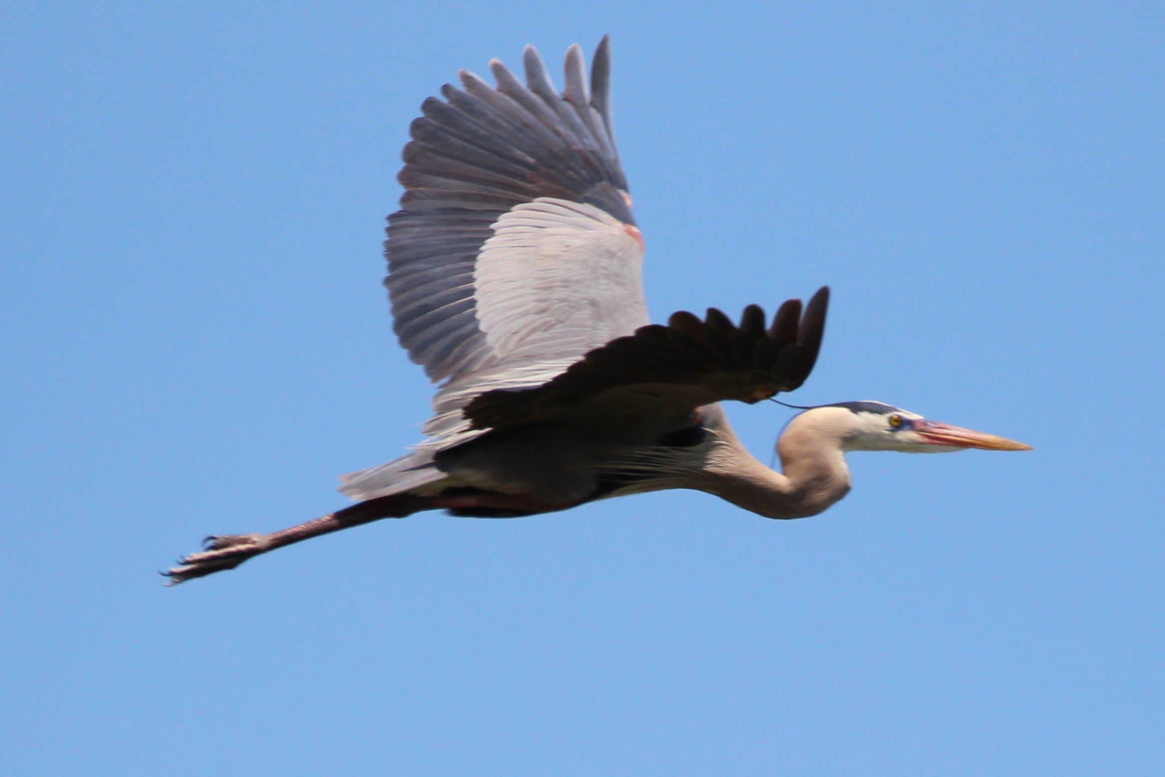 Photo by beachboywantabe