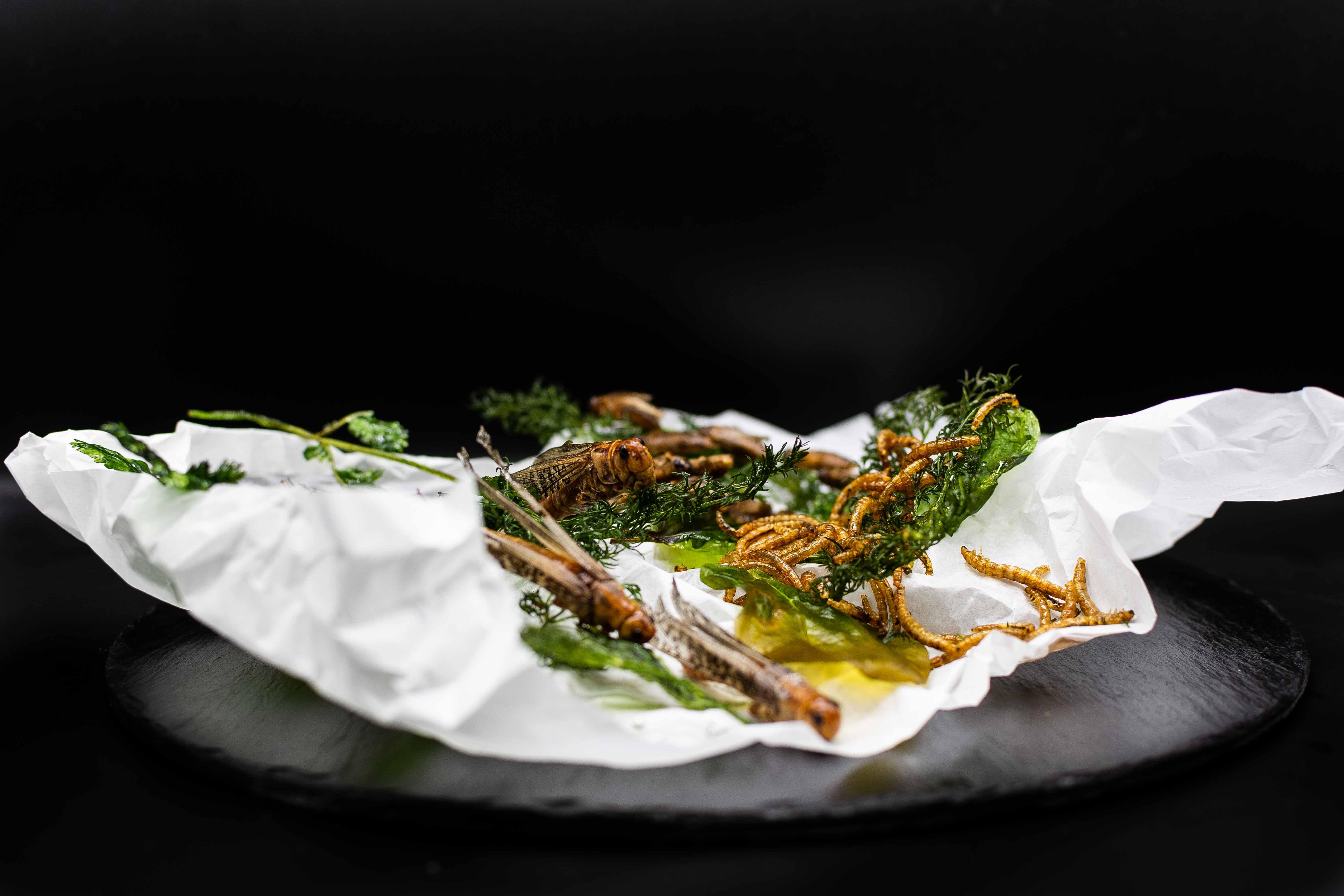 Mikrokosmos. The Restaurant