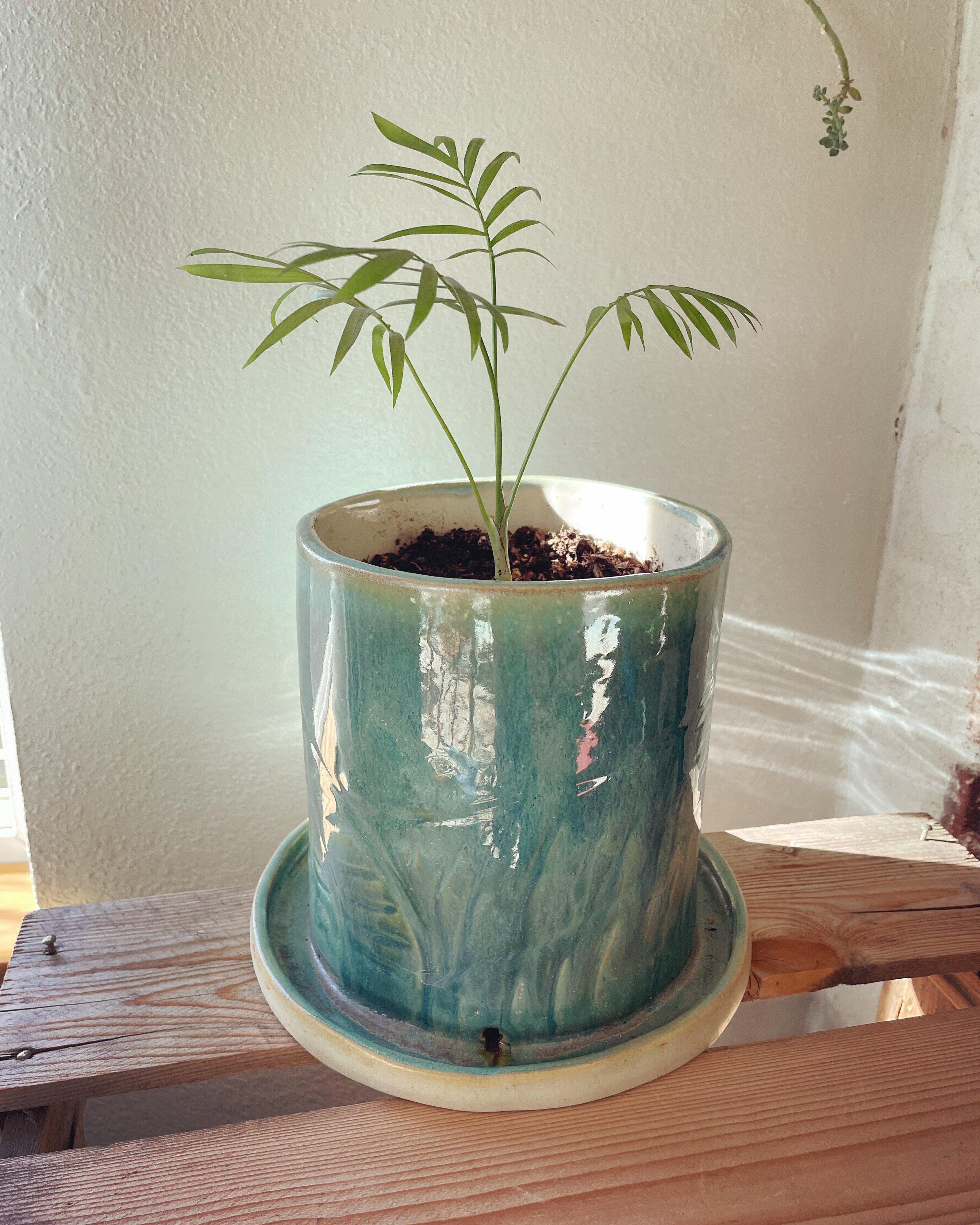 Photo by katielC2254DH