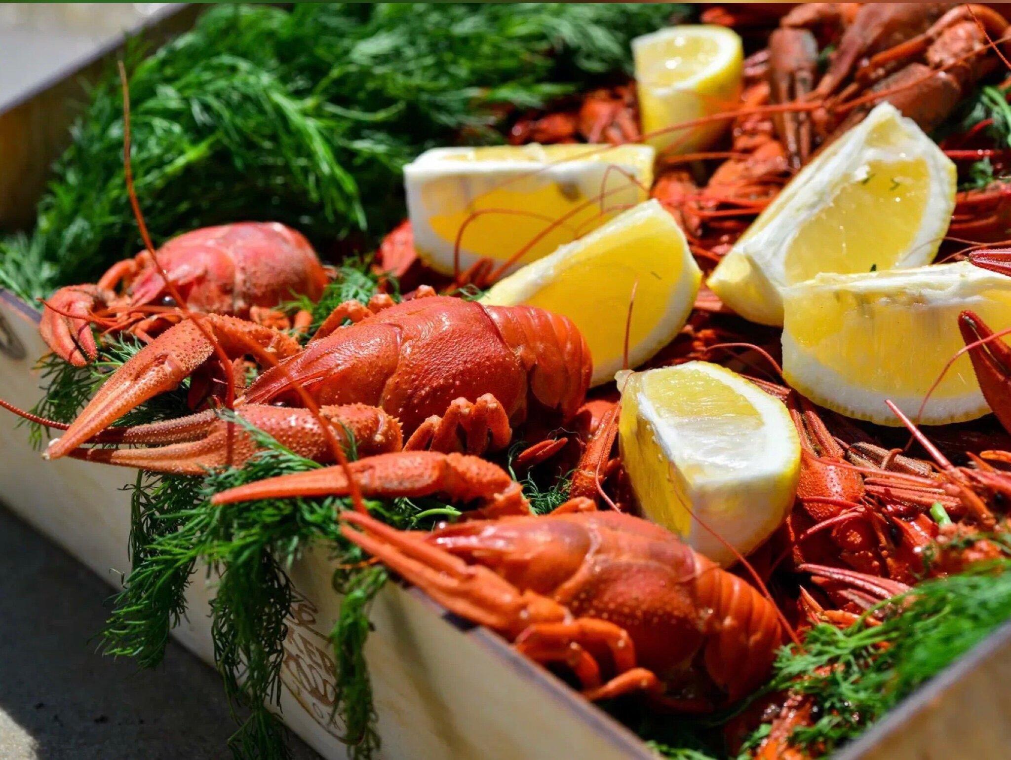 V Us Ne Dul Rakovarnya