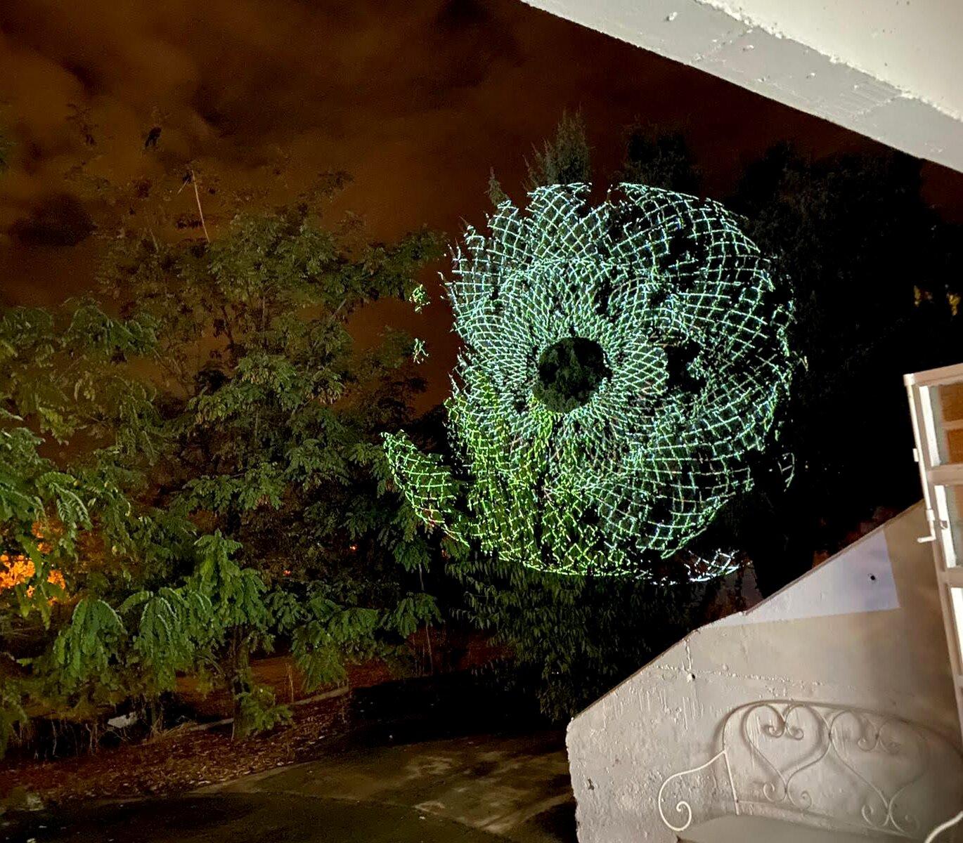 Galería Adora Calvo