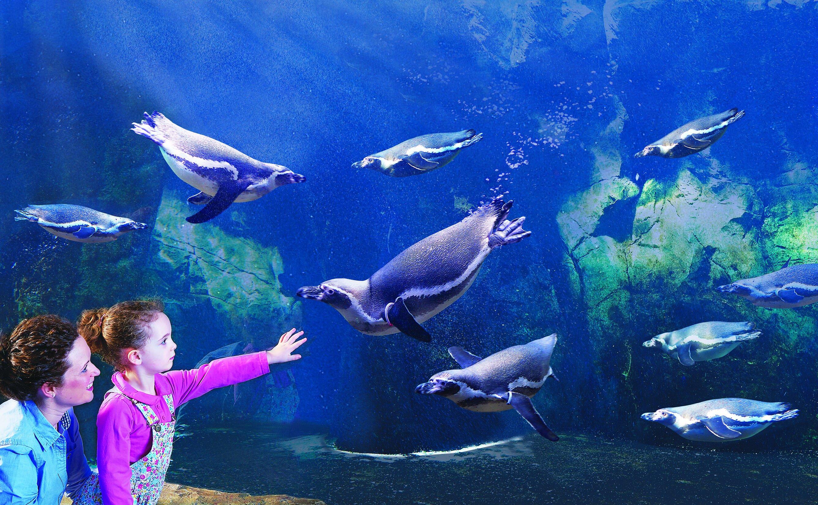Oceanarium