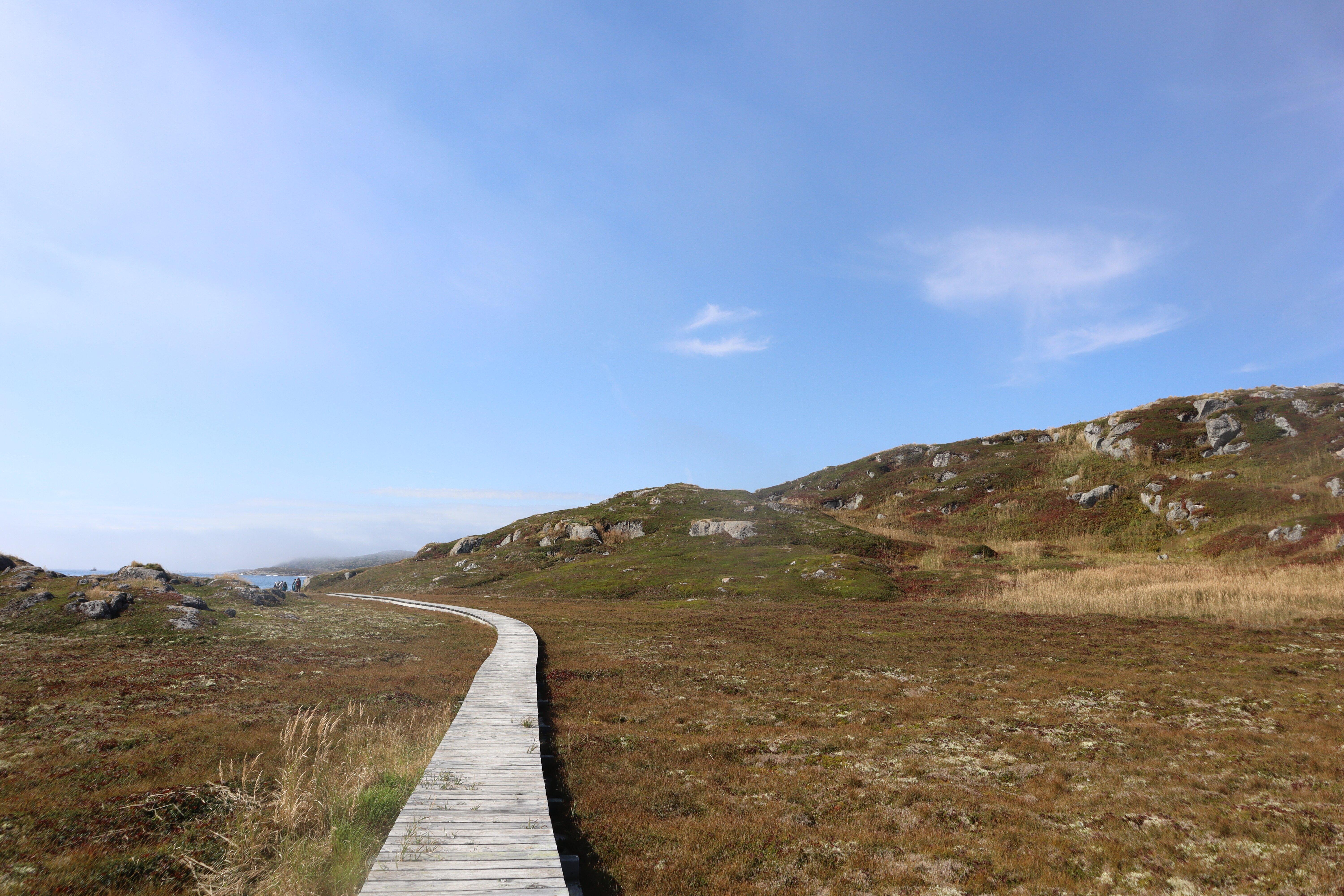Saddle Island Walking Path