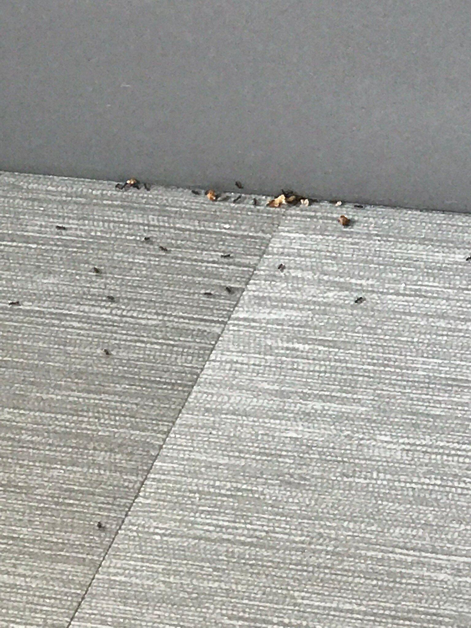 avid hotel Kalamazoo East, An IHG Hotel