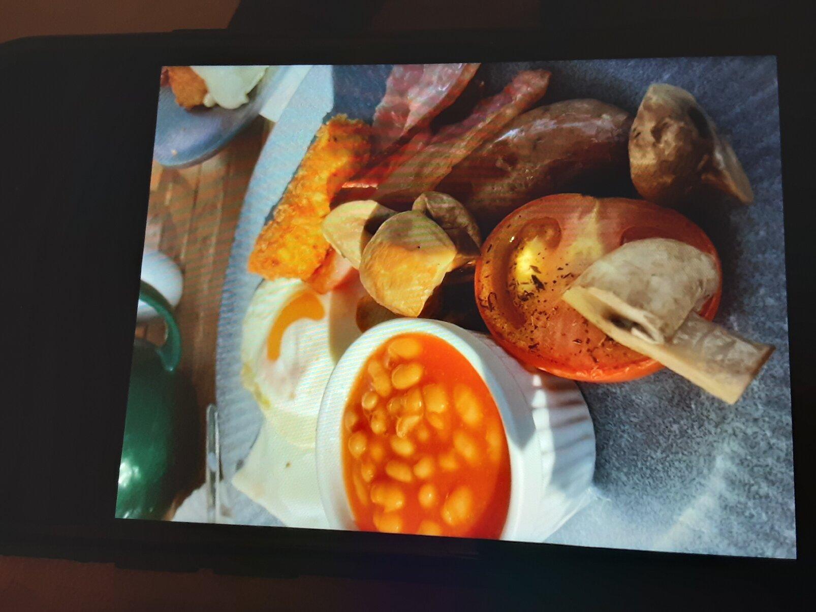 The Daisy Tea Garden