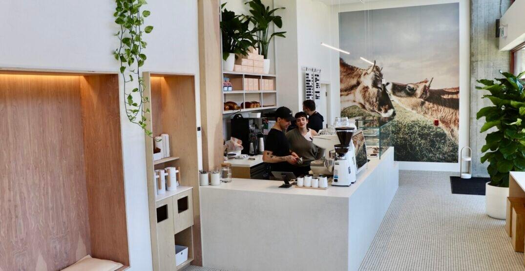 To Live For Bakery & Cafe