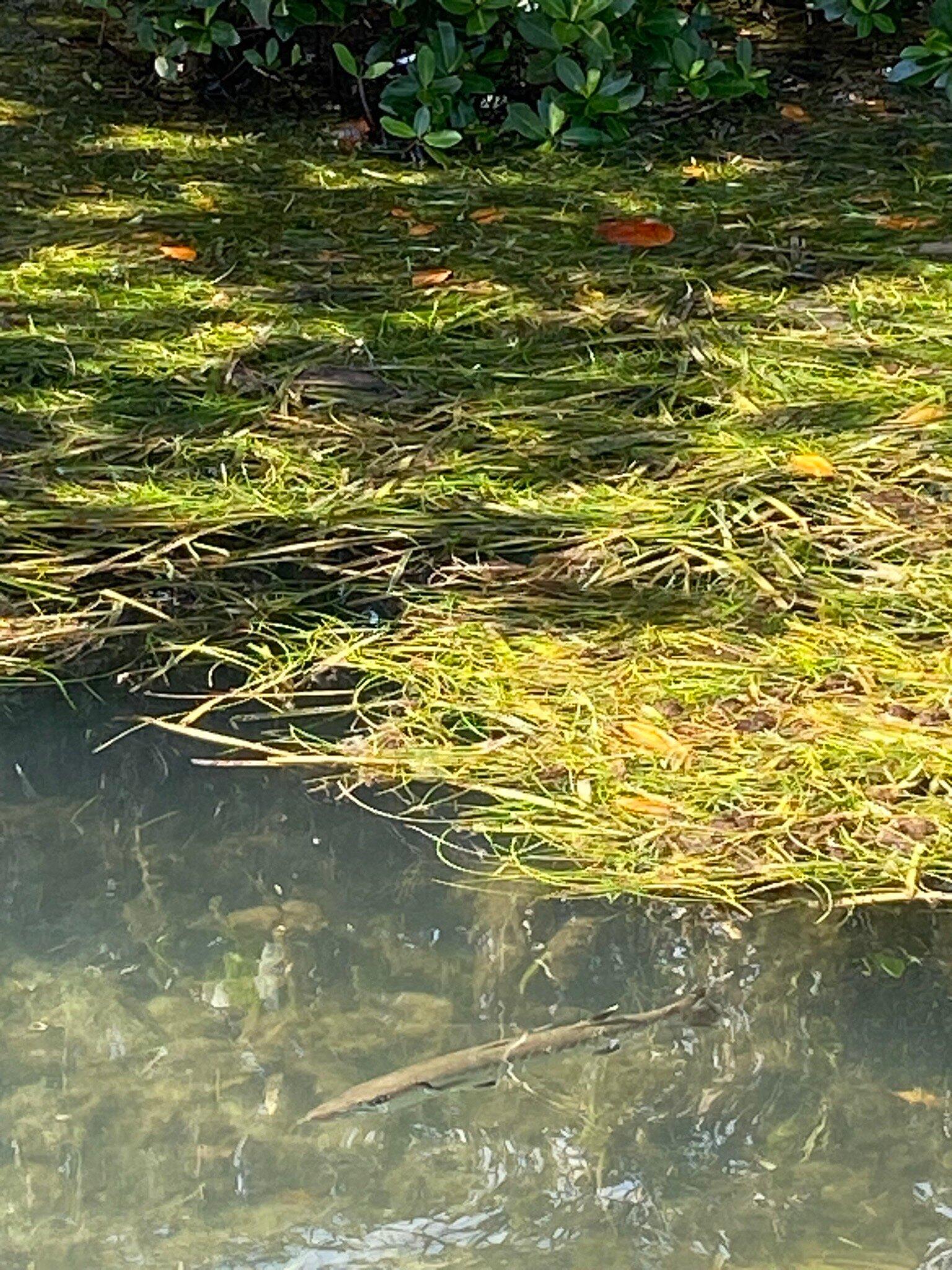 Photo by 2024florida