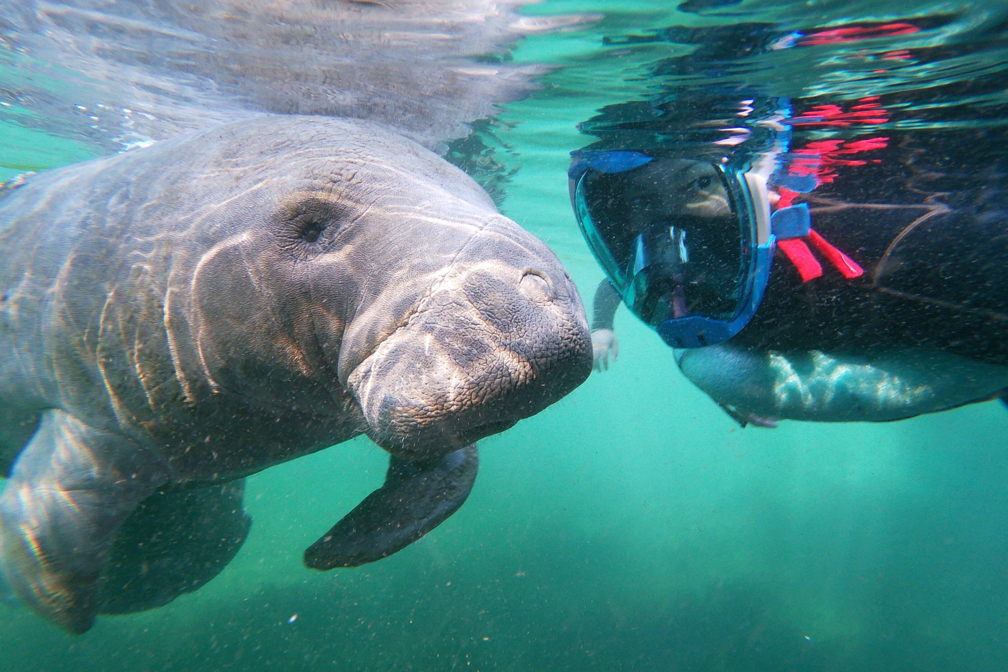 Nature's Adventure Center