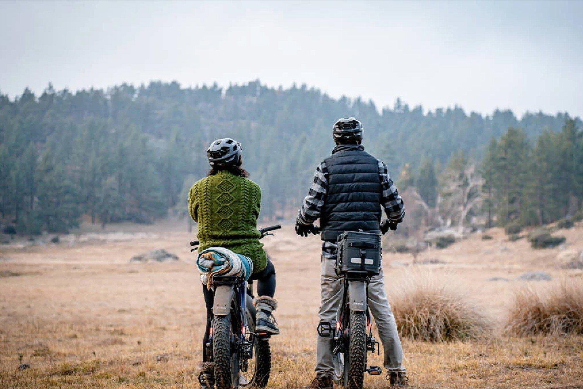 Montana E-Bikes & More
