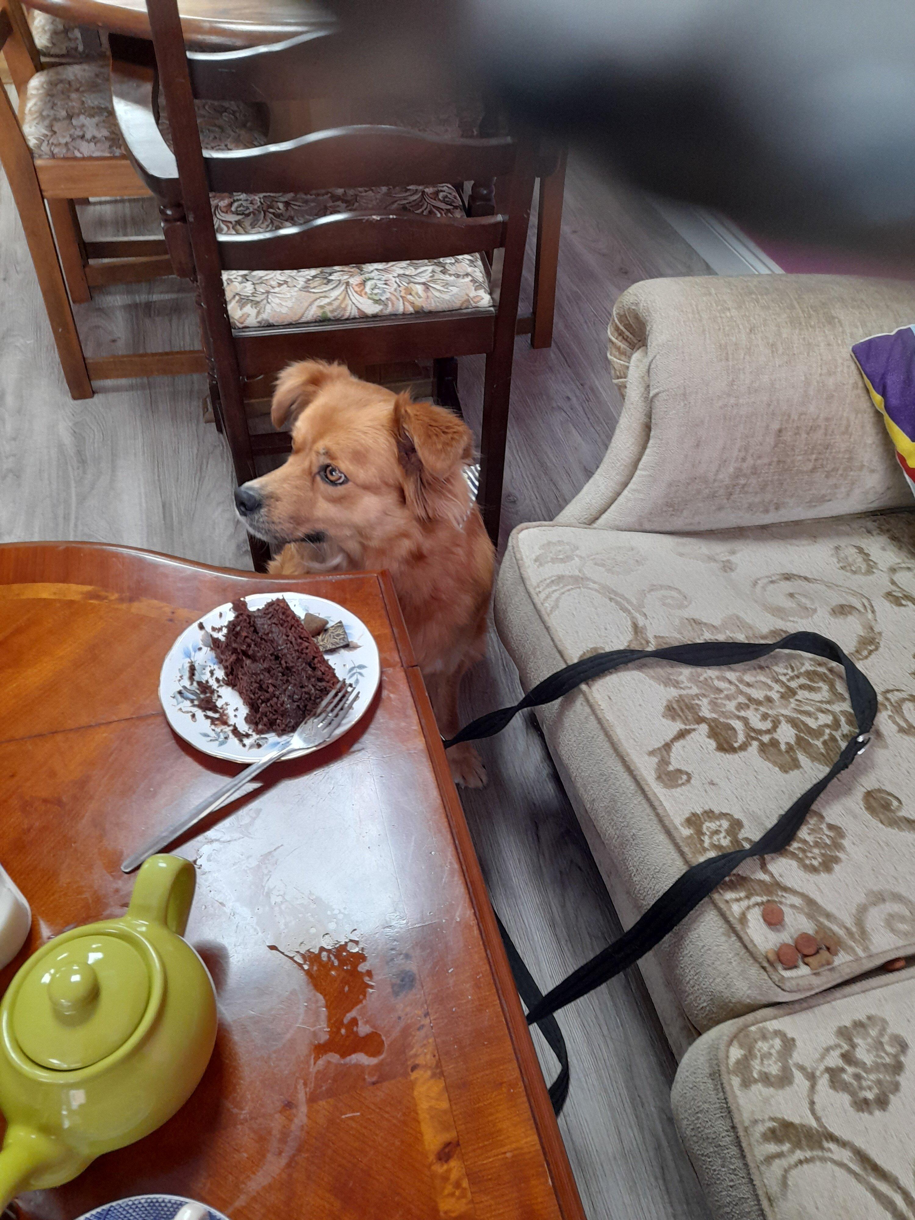 Mad Hatter’s Coffee House