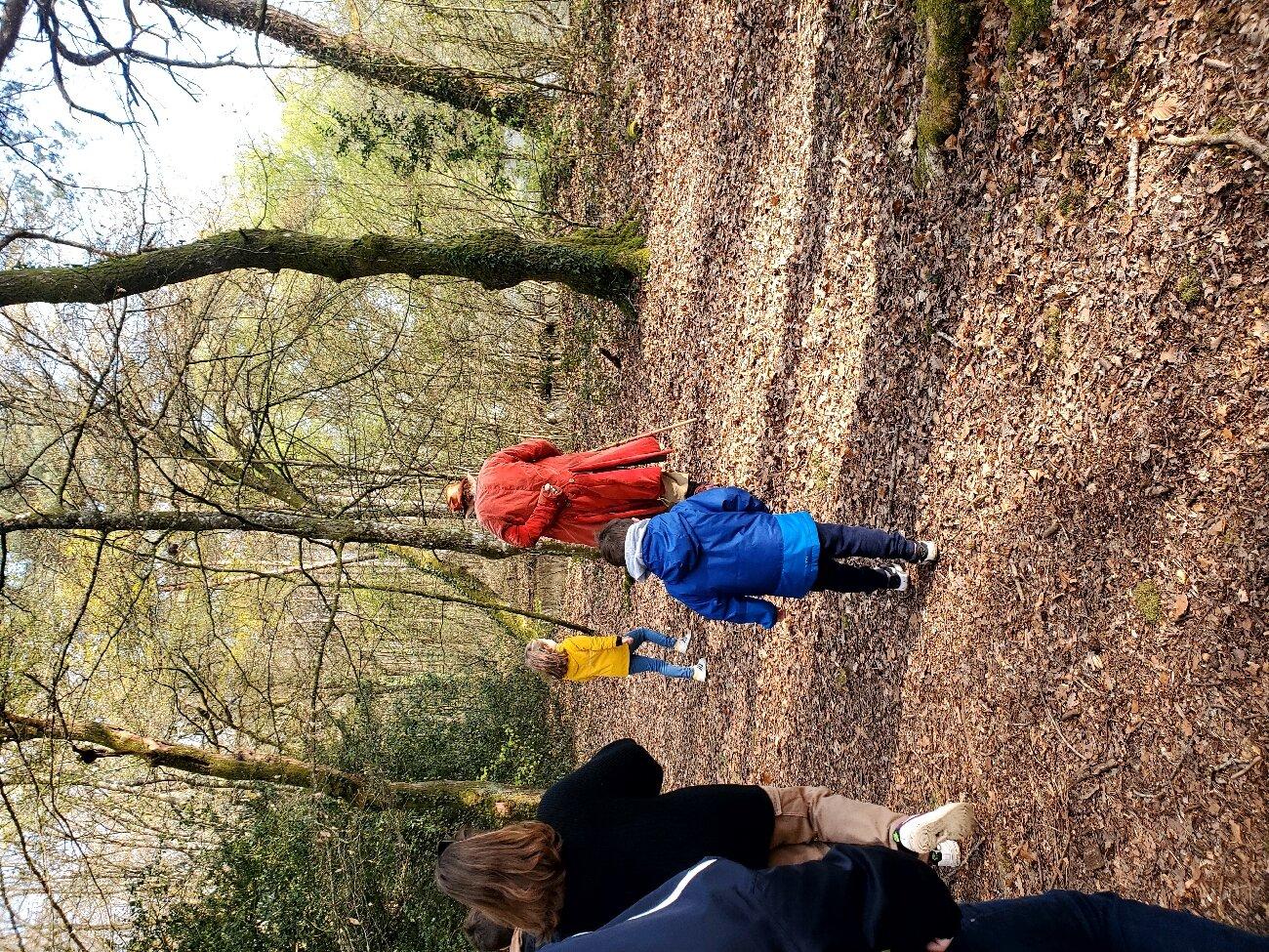 Office De Tourisme De Brocéliande