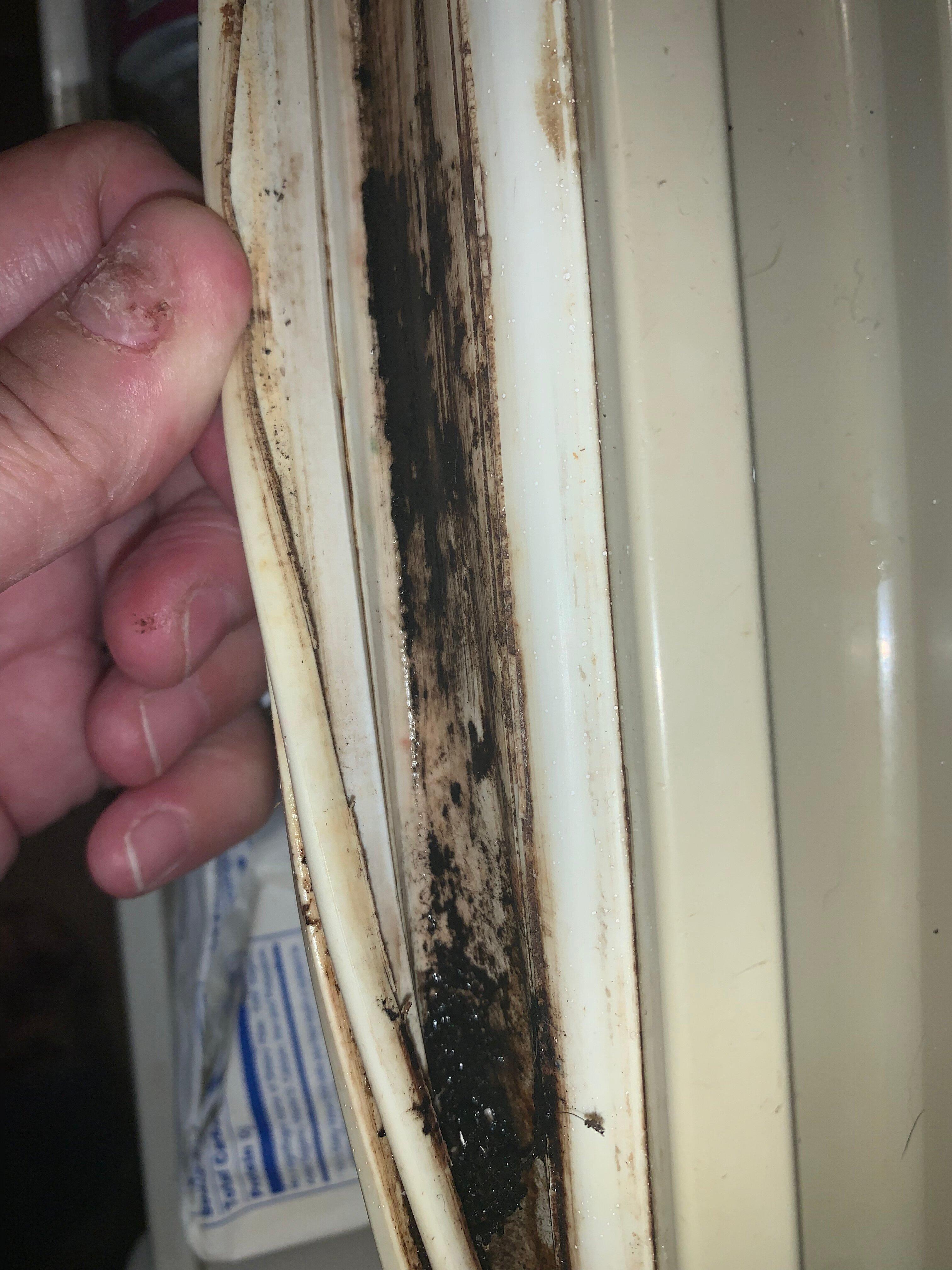 Pelican Inn & Suites