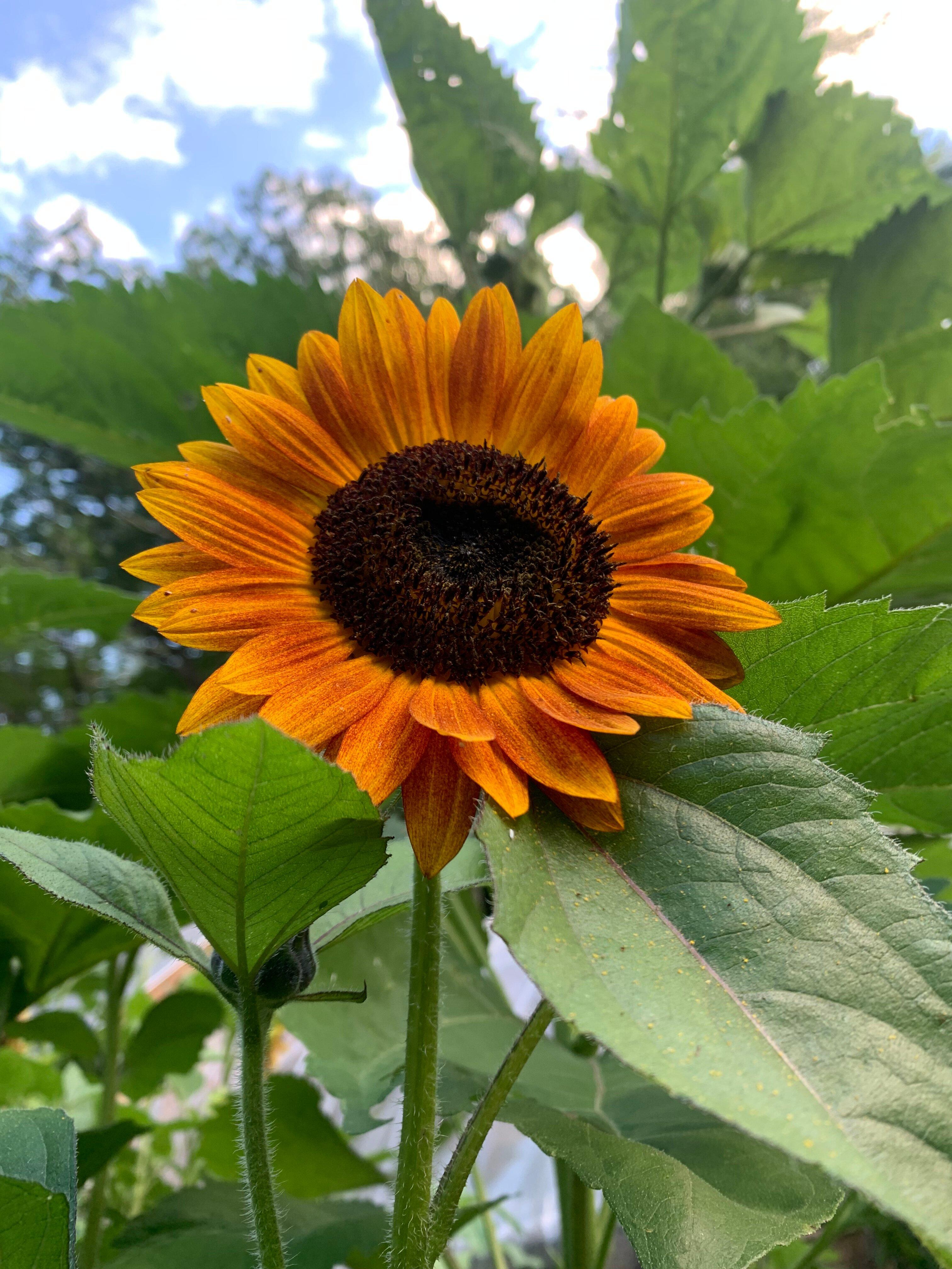 Photo by U537CHannab