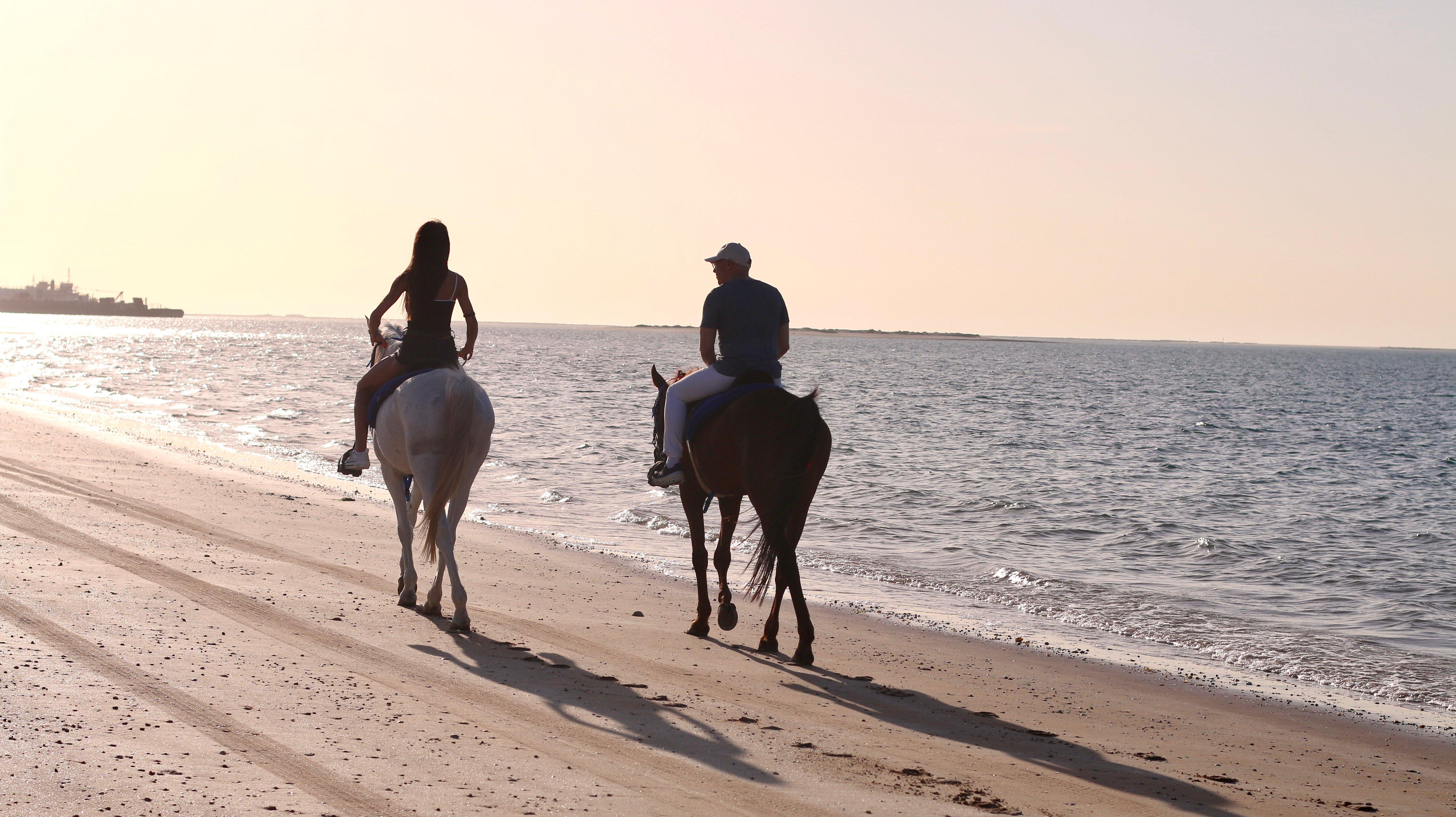 Desert Hack Riding Club