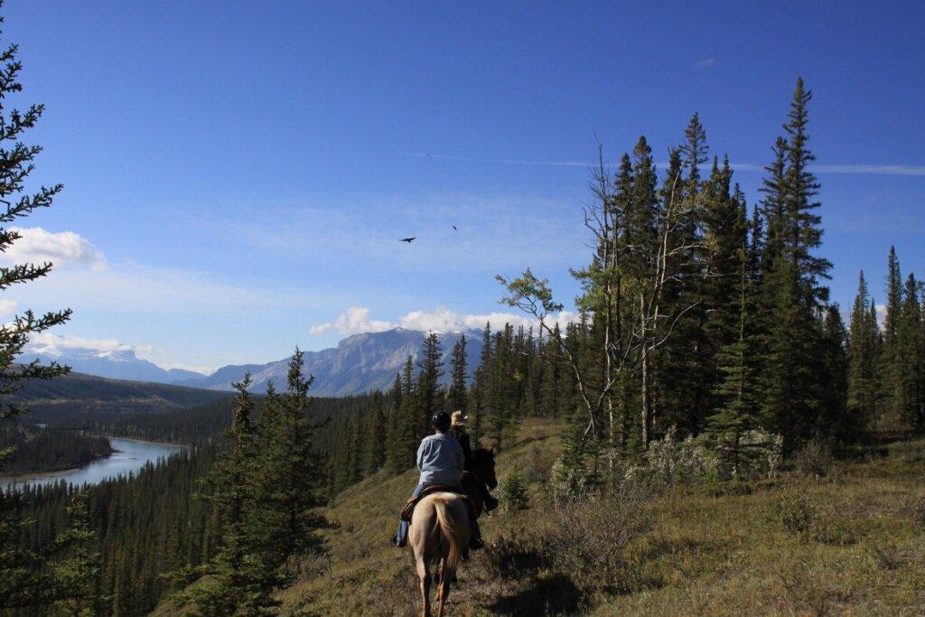 Old Entrance Trail Rides