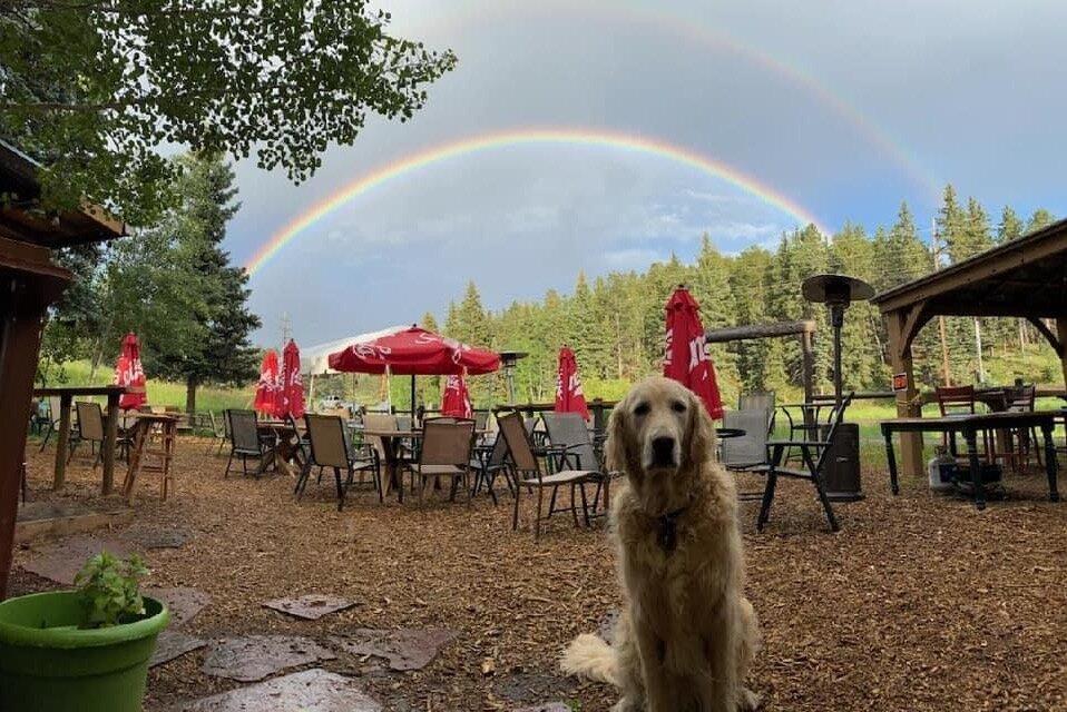 The Well at Bradford Junction