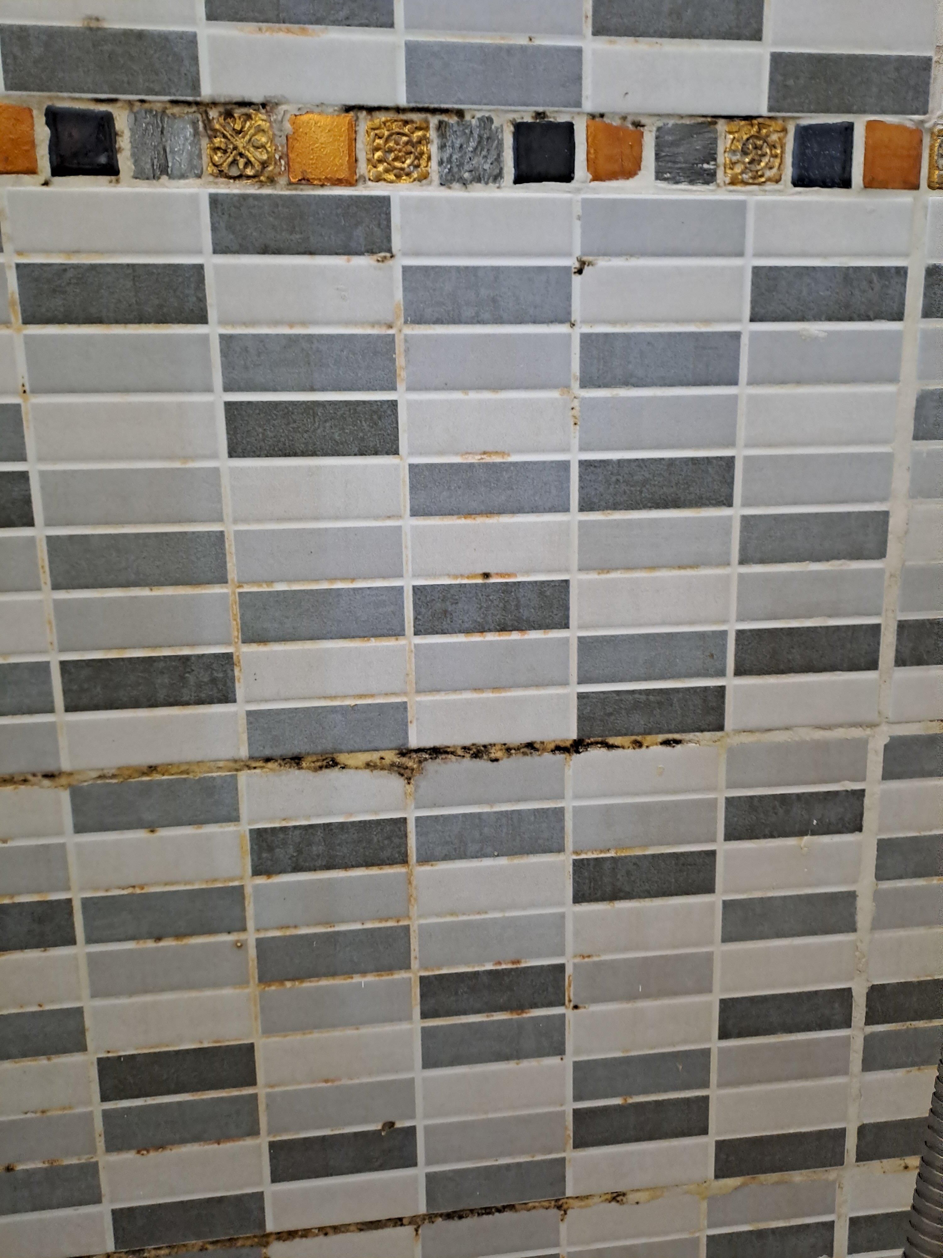 Photo by Passenger37736911664