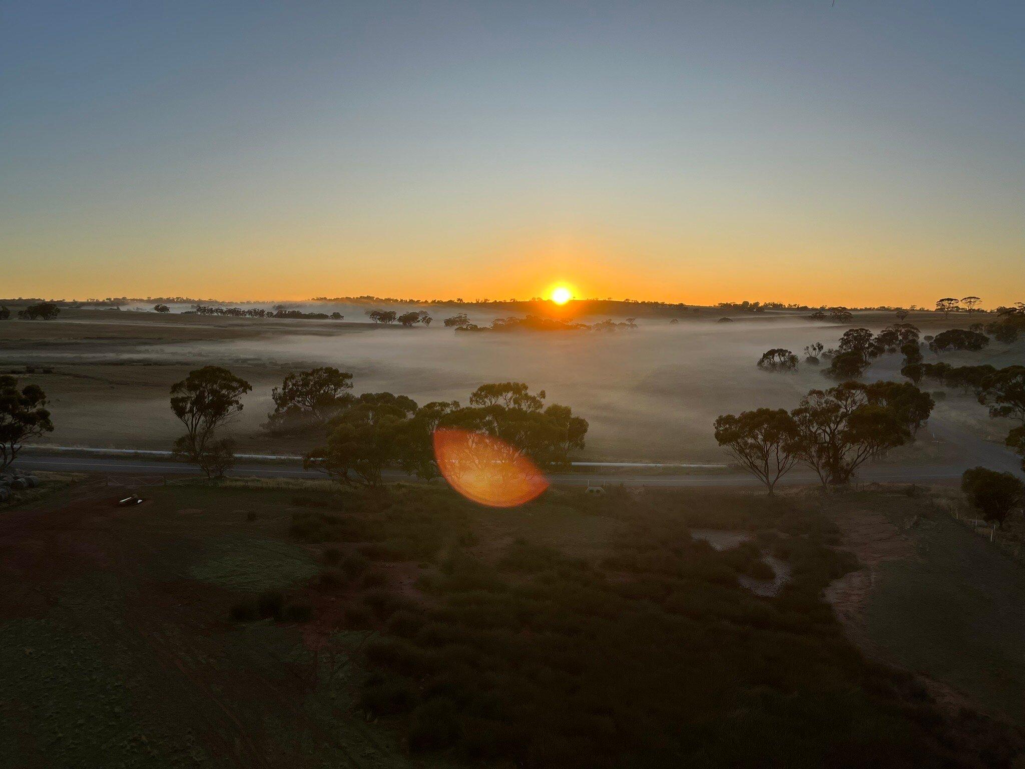 Photo by melitak2014