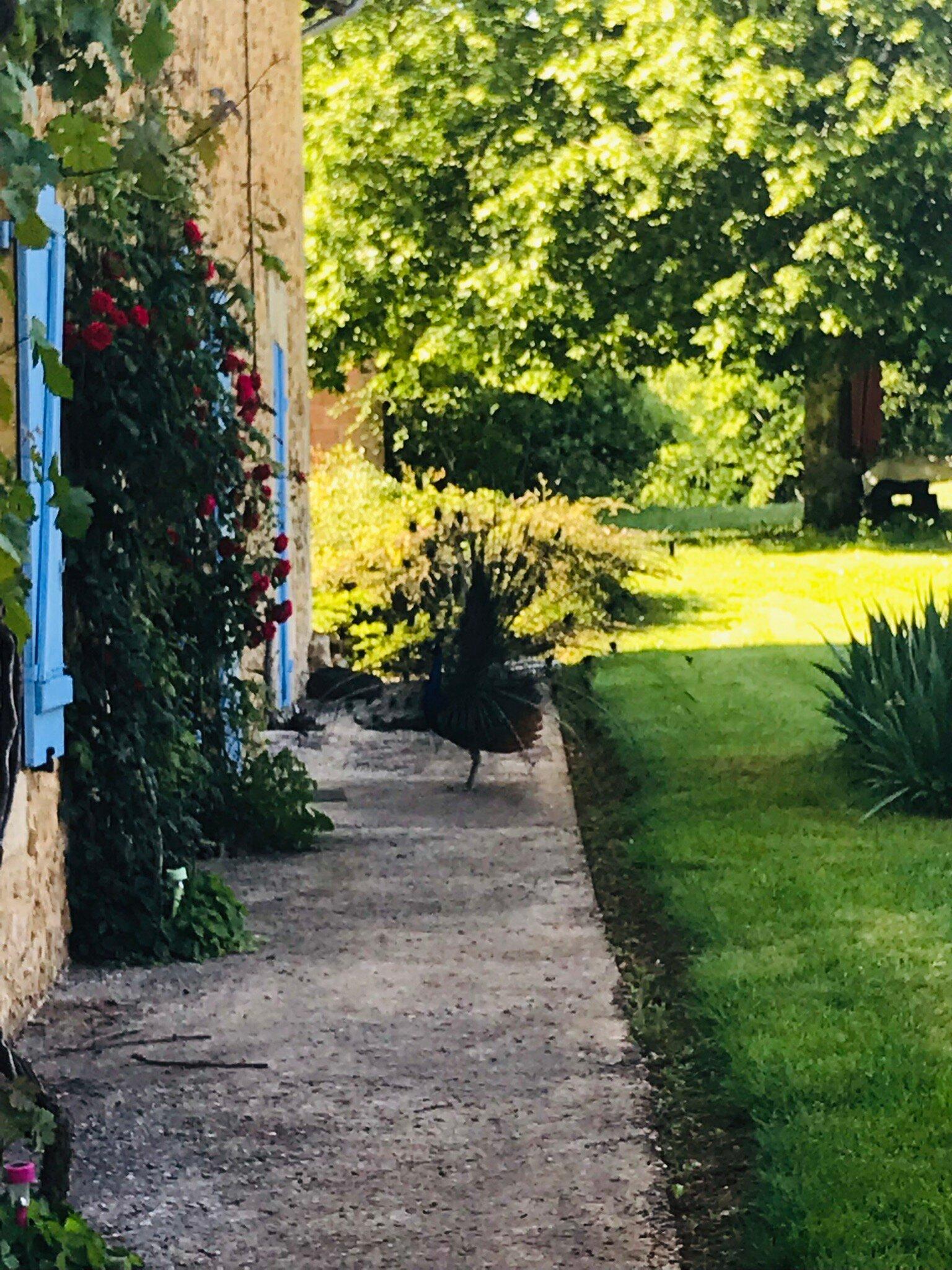 Chambre d'Hôtes La Côte Rouge