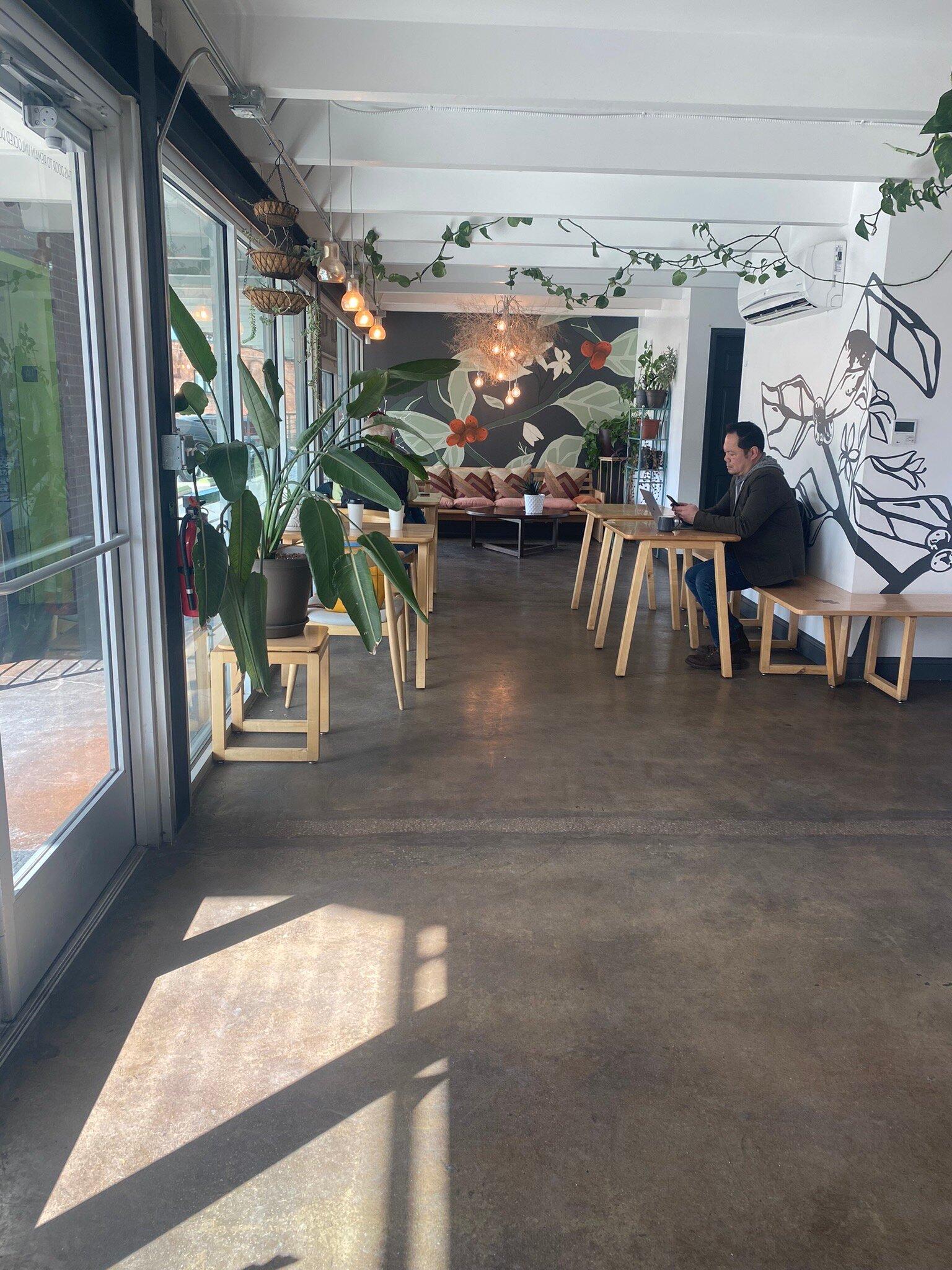 Cherry Bean - Coffee