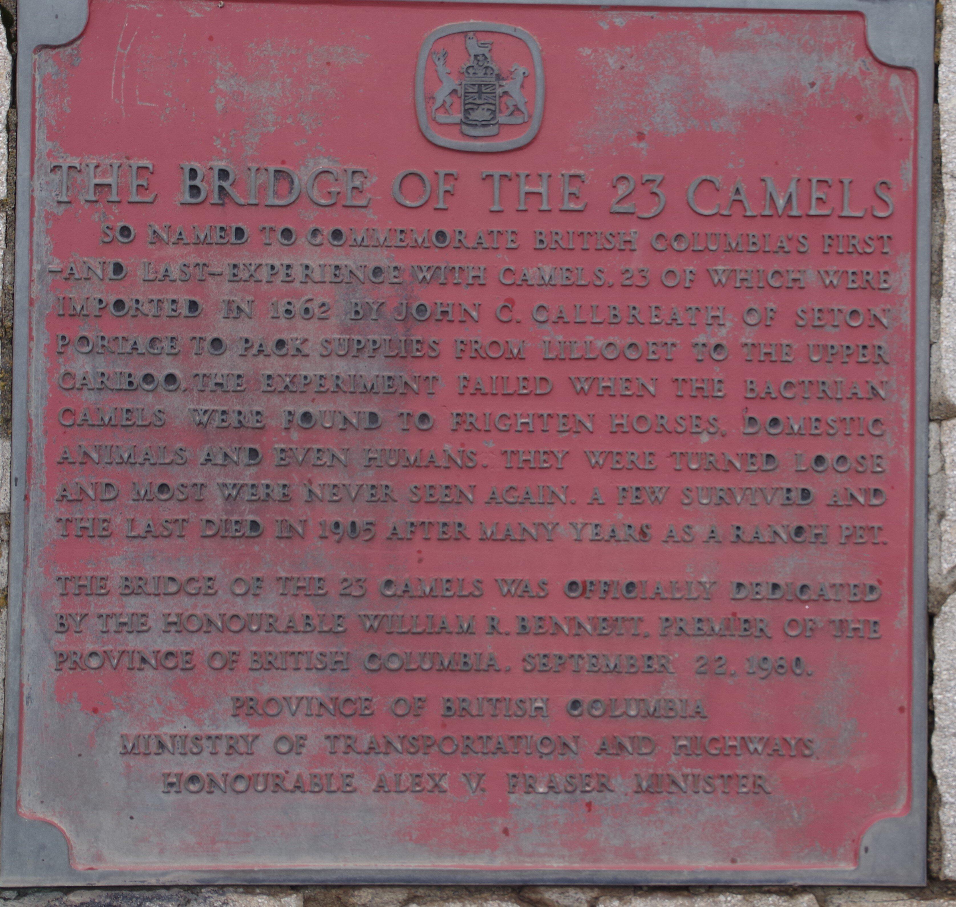 Bridge of the twenty three camels