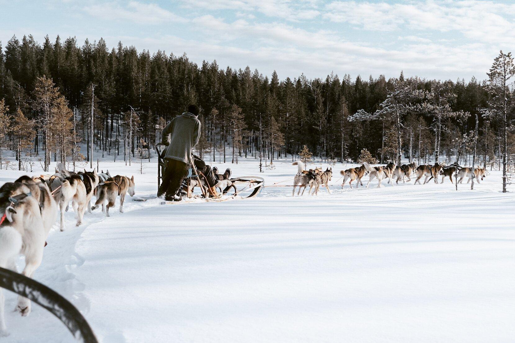 Below Zero Husky Tours