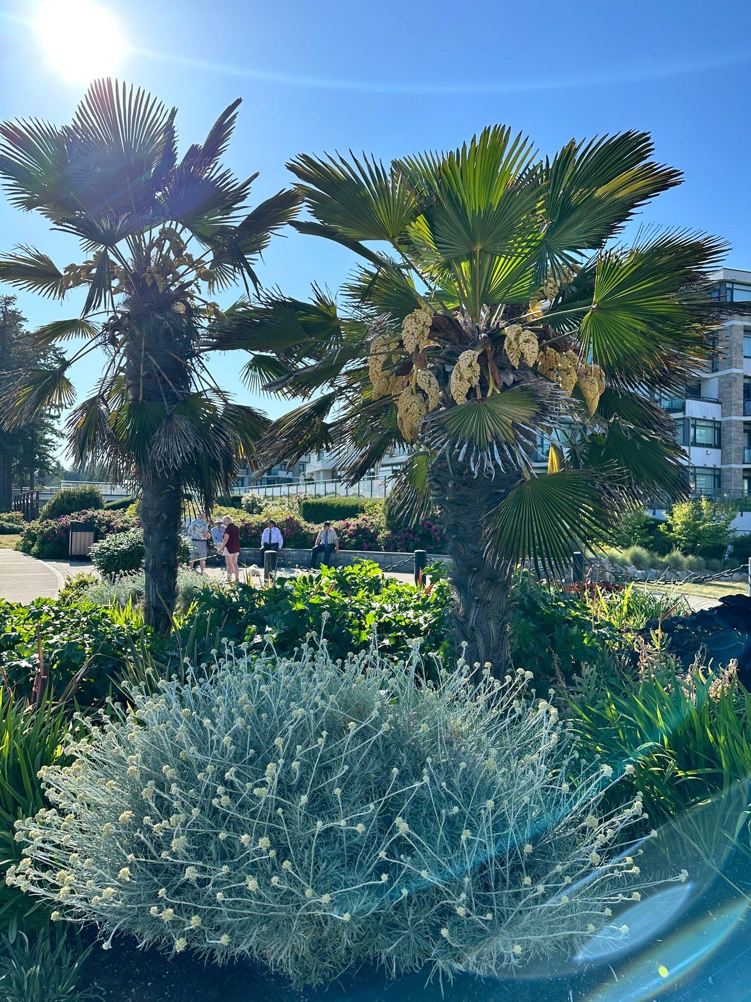 Bayside Campground & RV Park