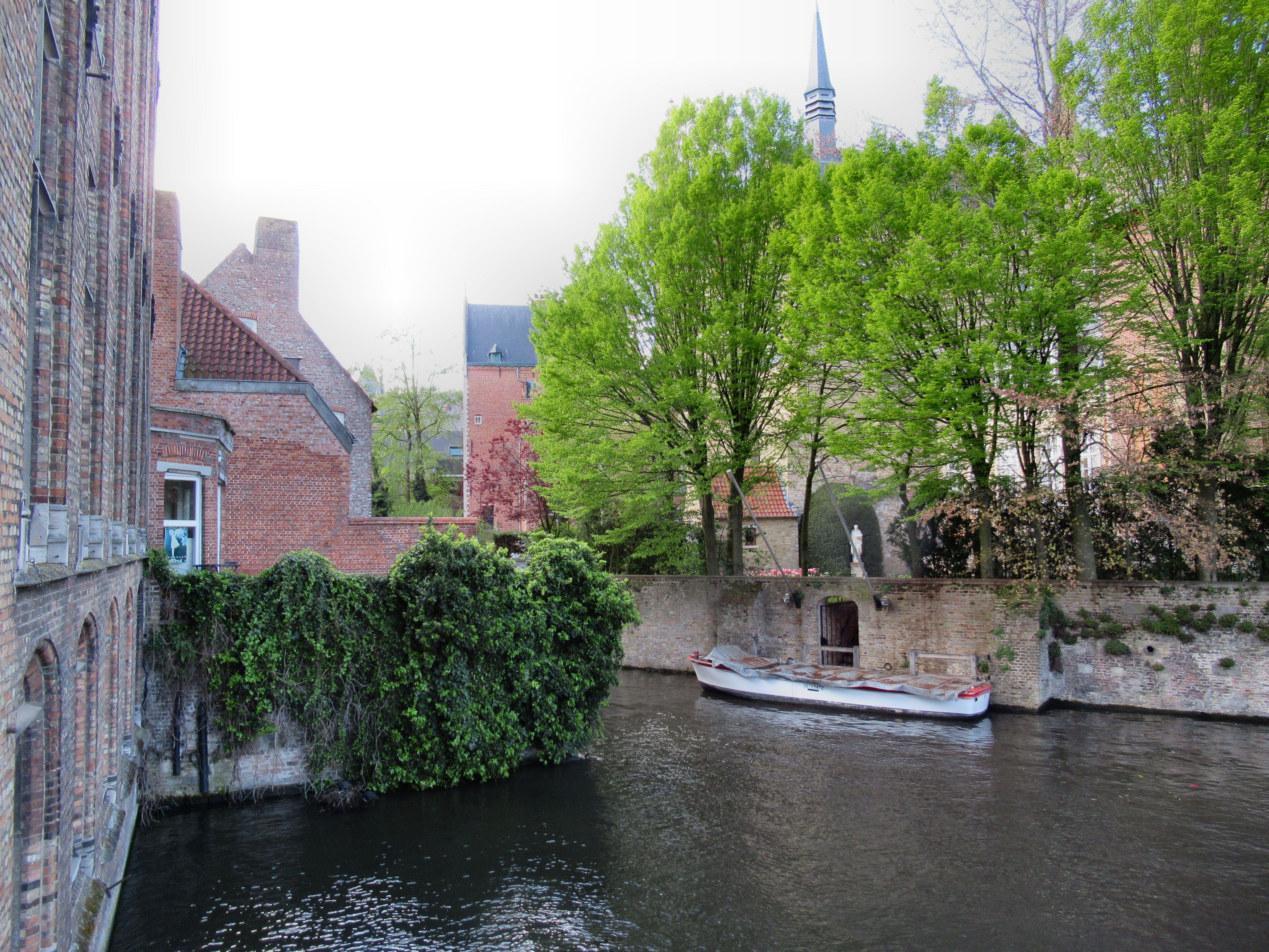 Photo by Madeleine C