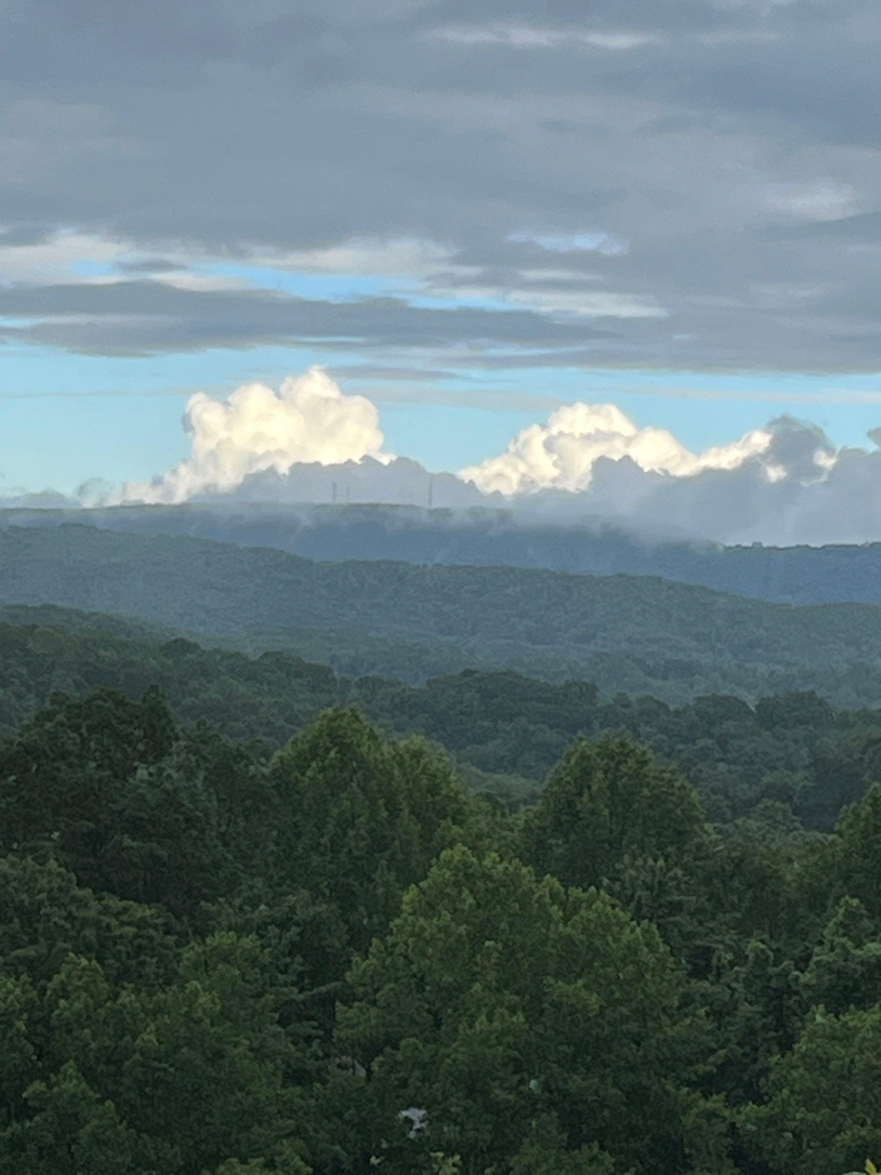 Gold And Blue Cabins