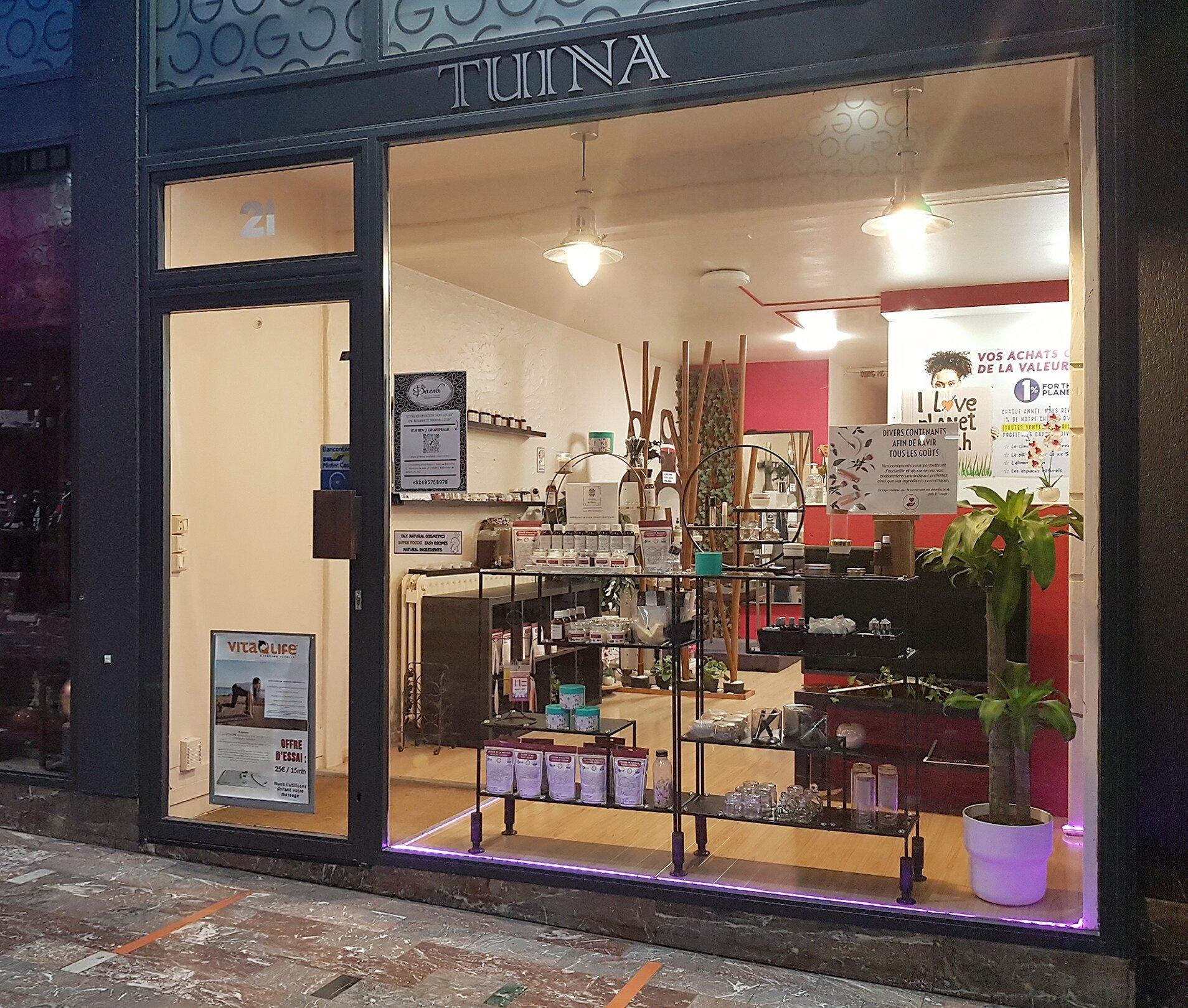 Daena Aesthetic Concept