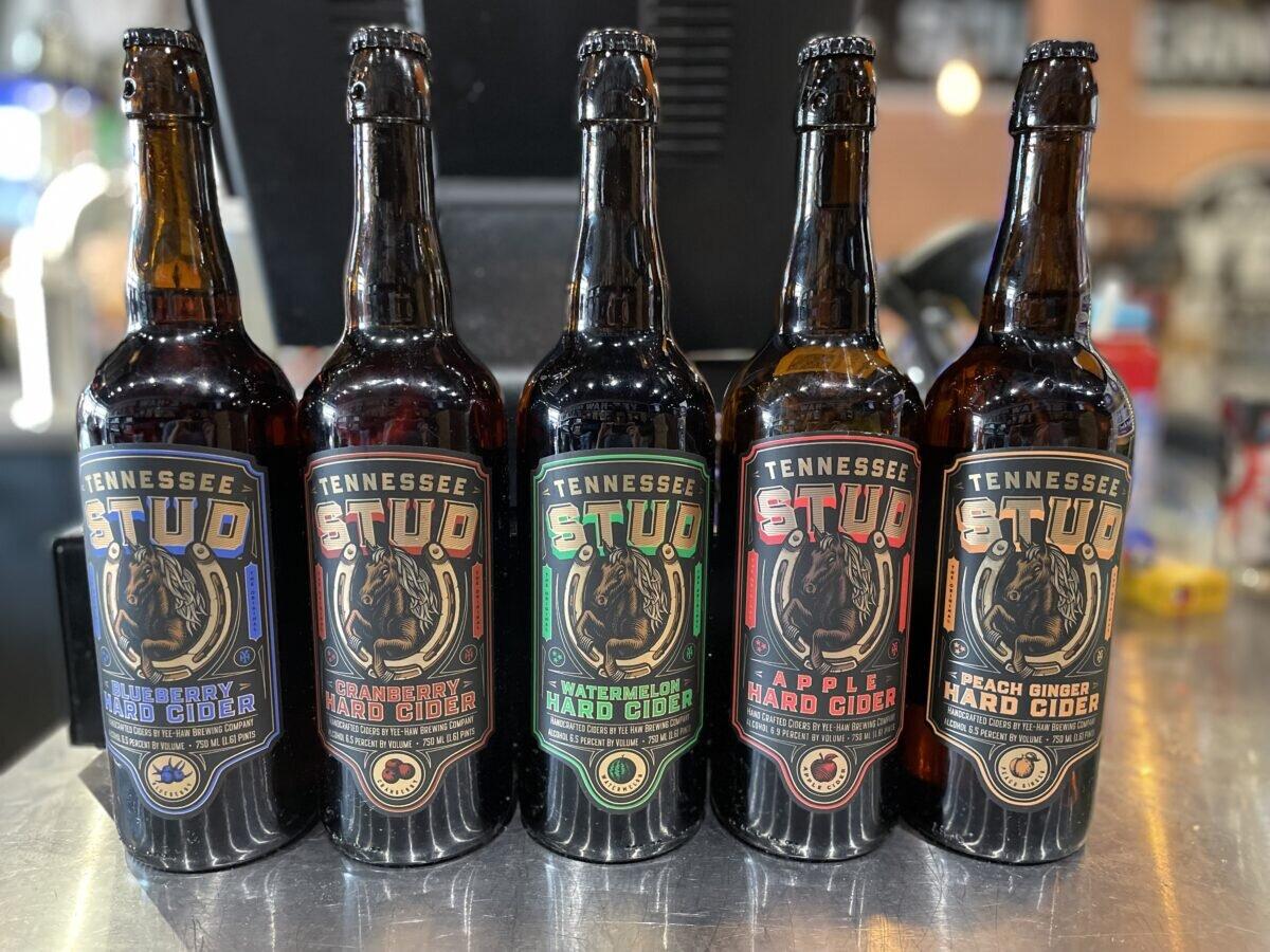 Arcade City Pigeon Forge