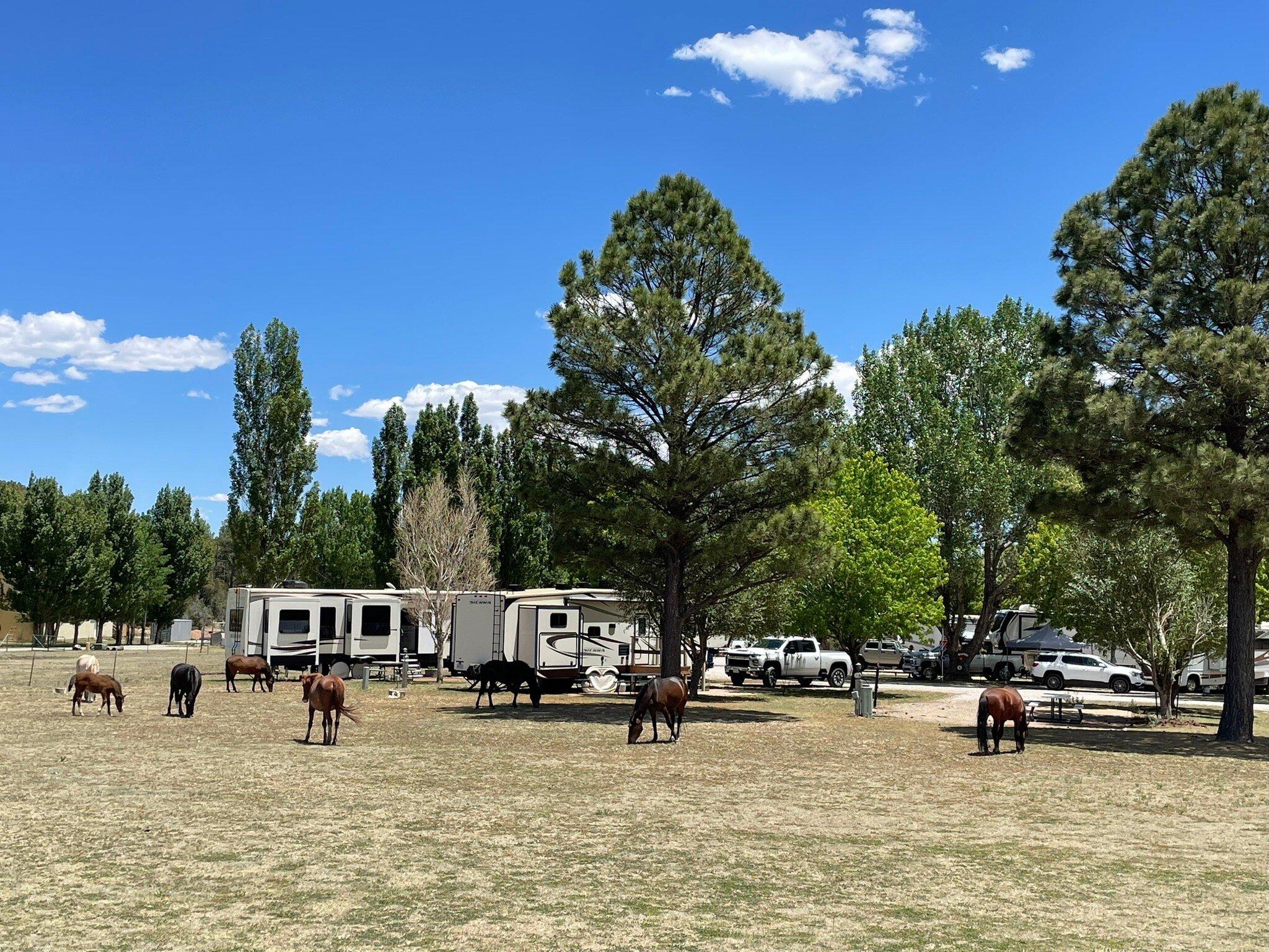 Little Creek RV Park