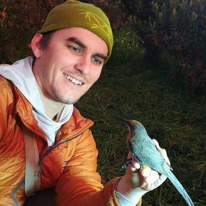 Northwest Bird Tours