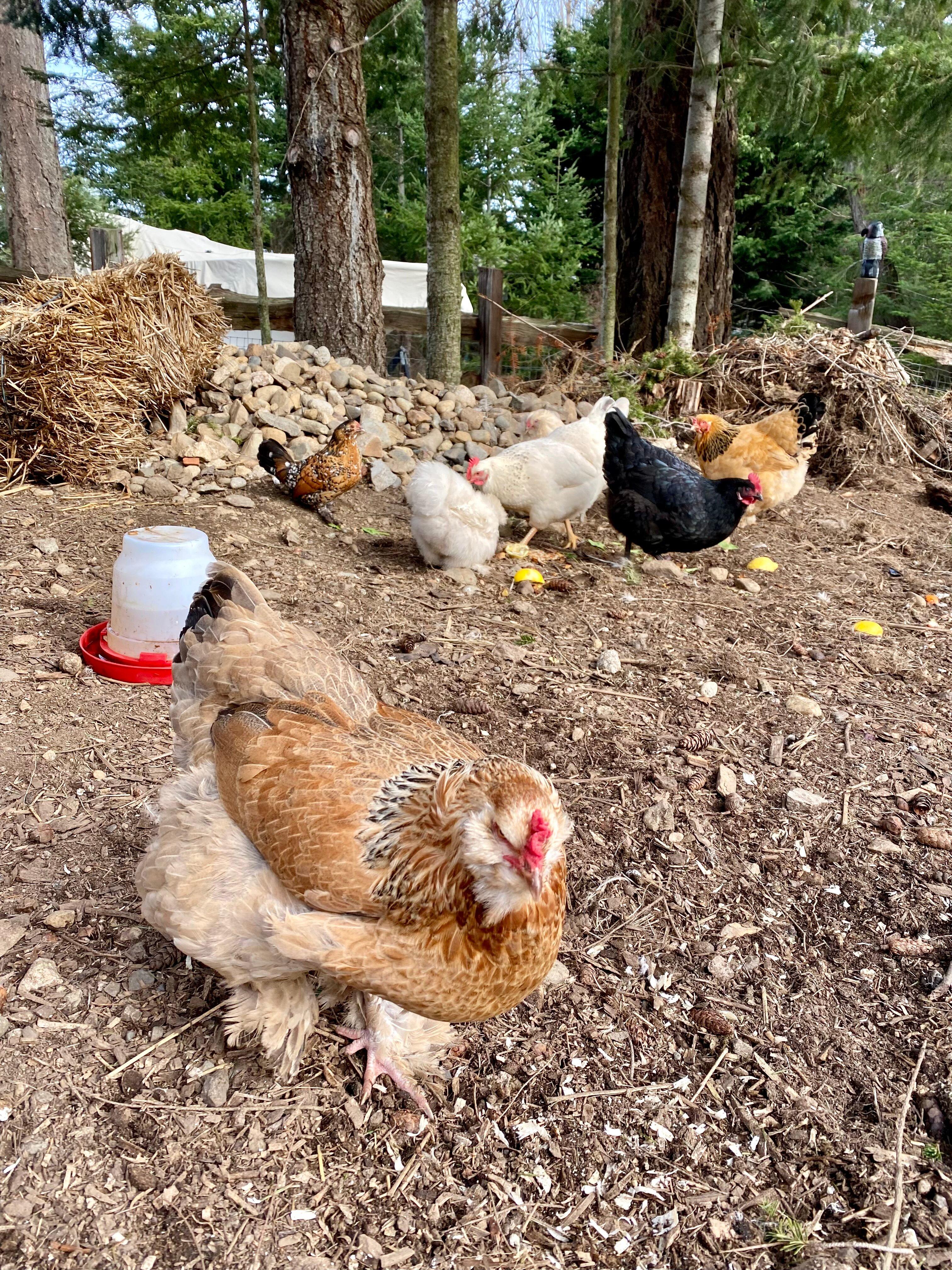 Photo by shaylinp2023