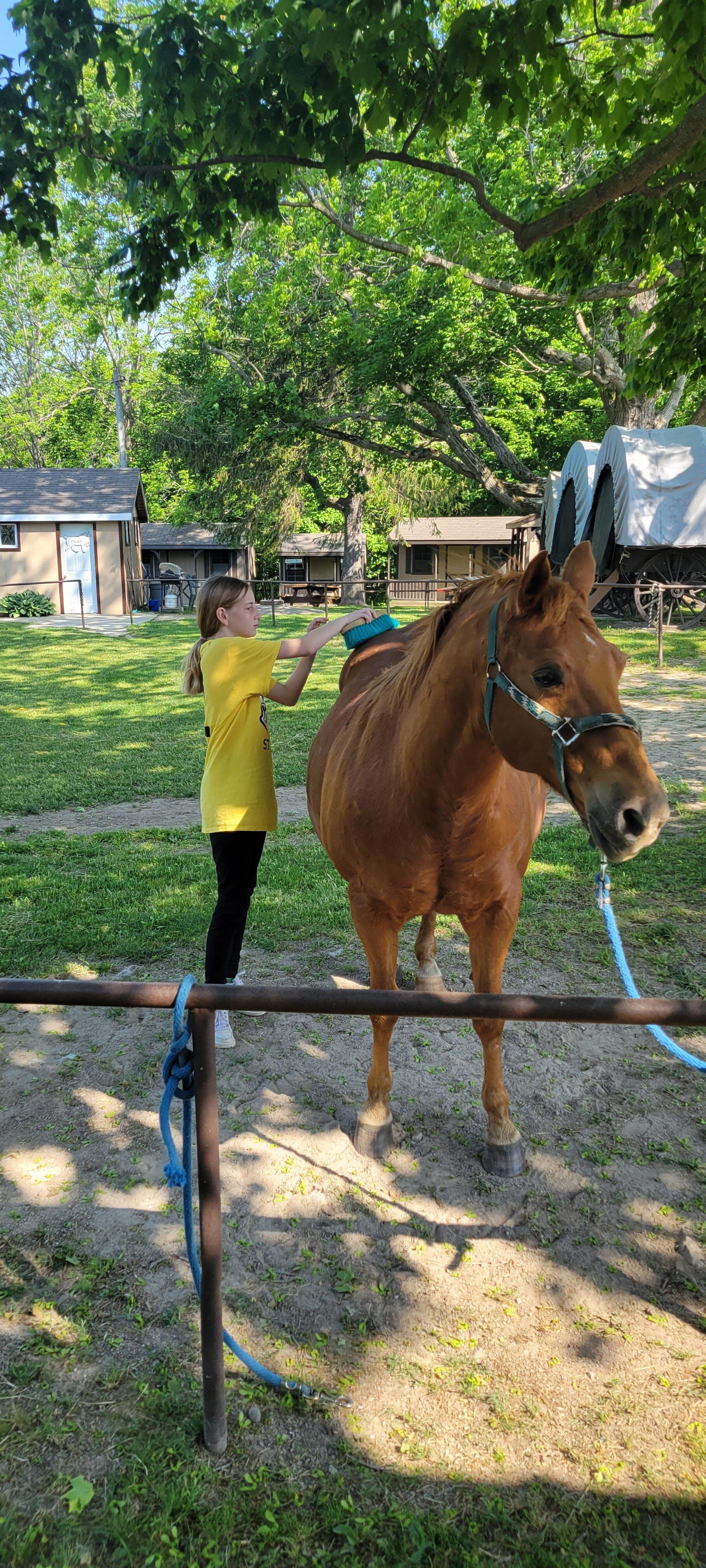 The Horseshoe J Dude Ranch
