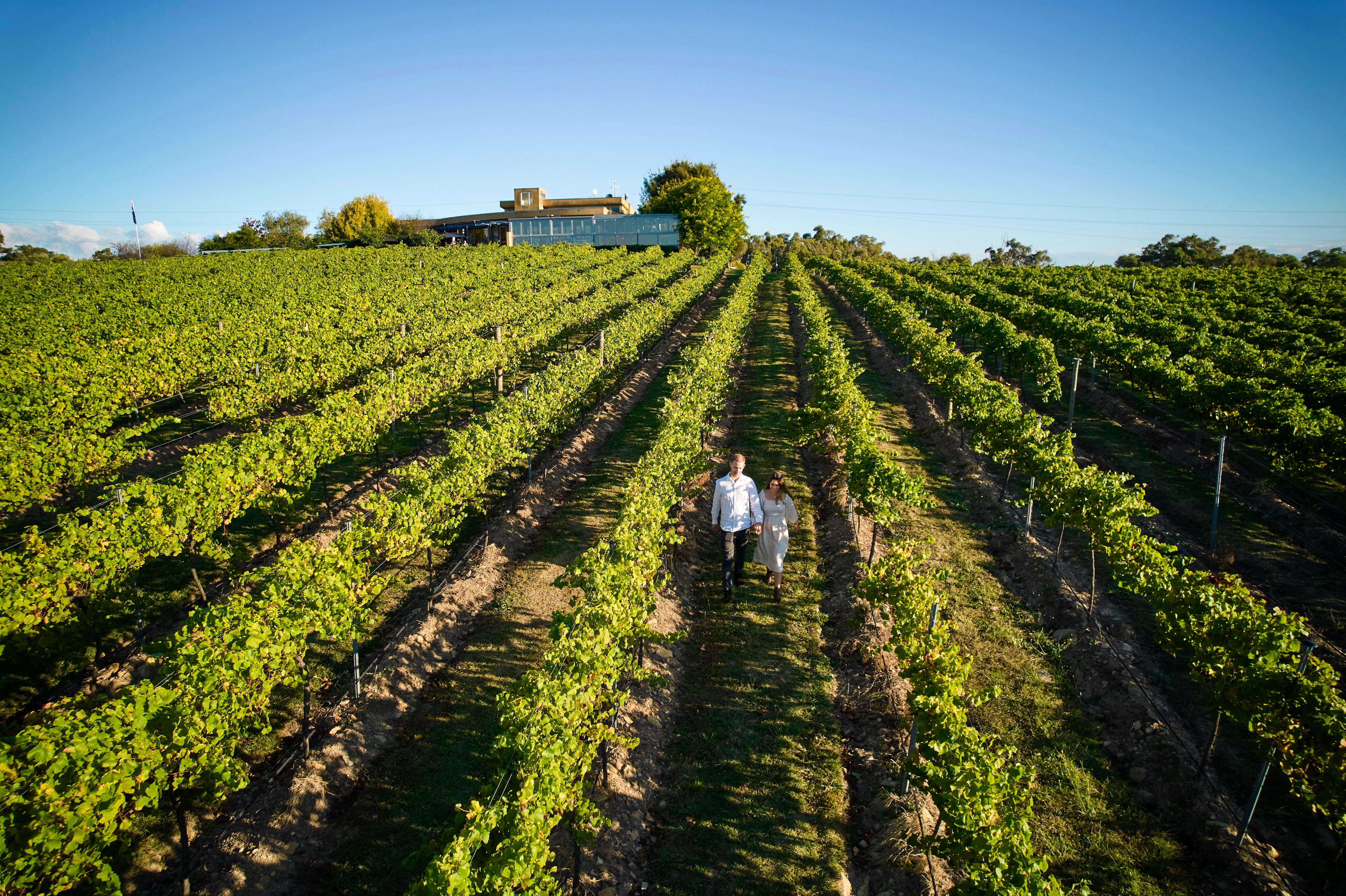 Contentious Character