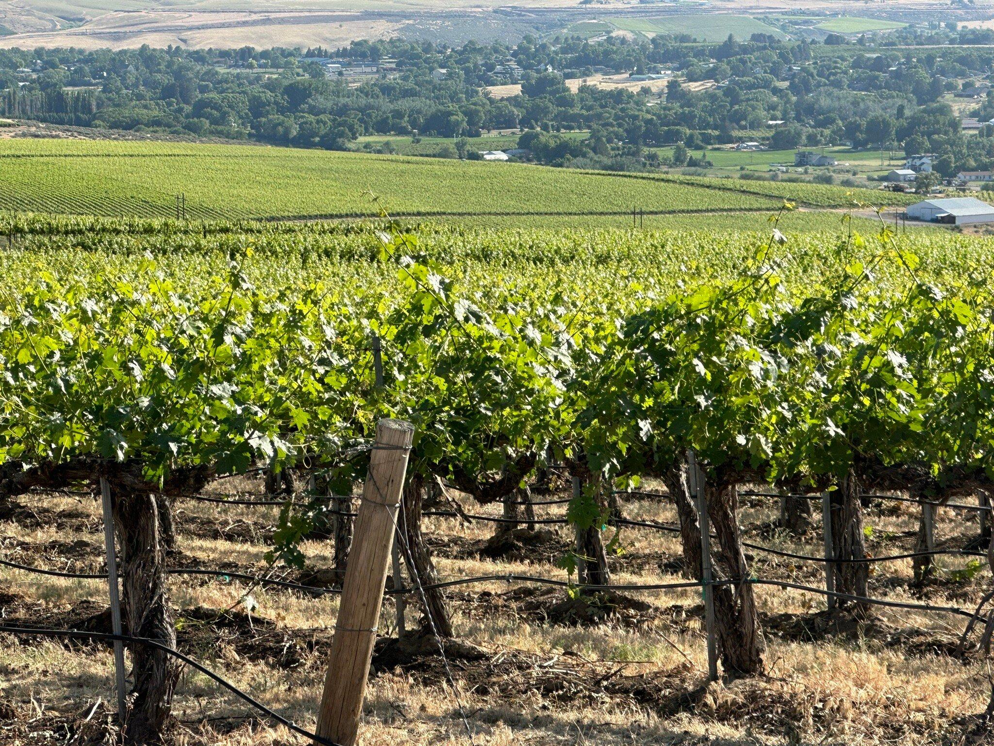 Avennia Estate Tasting Room