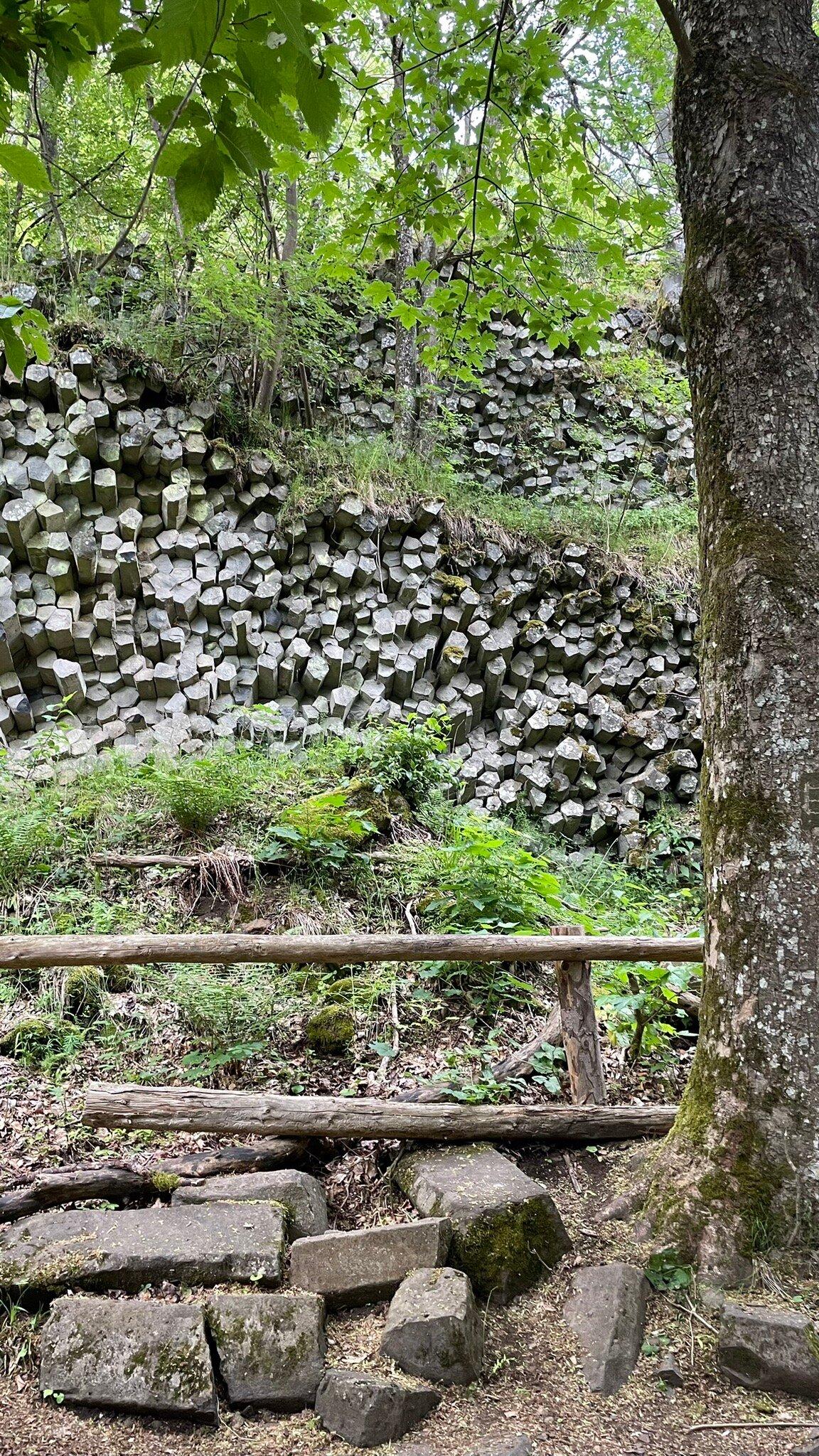 Naturlehrpfad Gangolfsberg