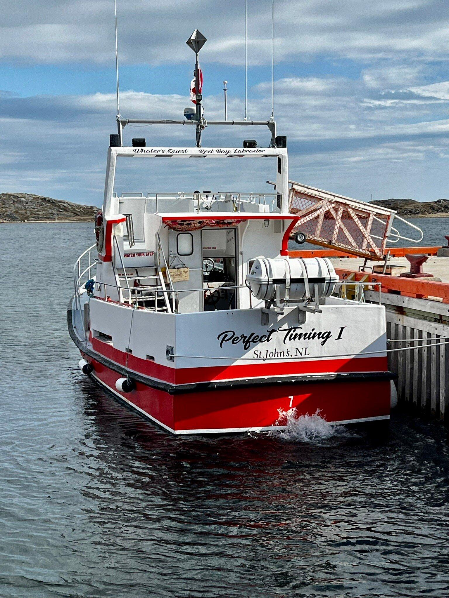 Whaler's Quest Ocean Adventures